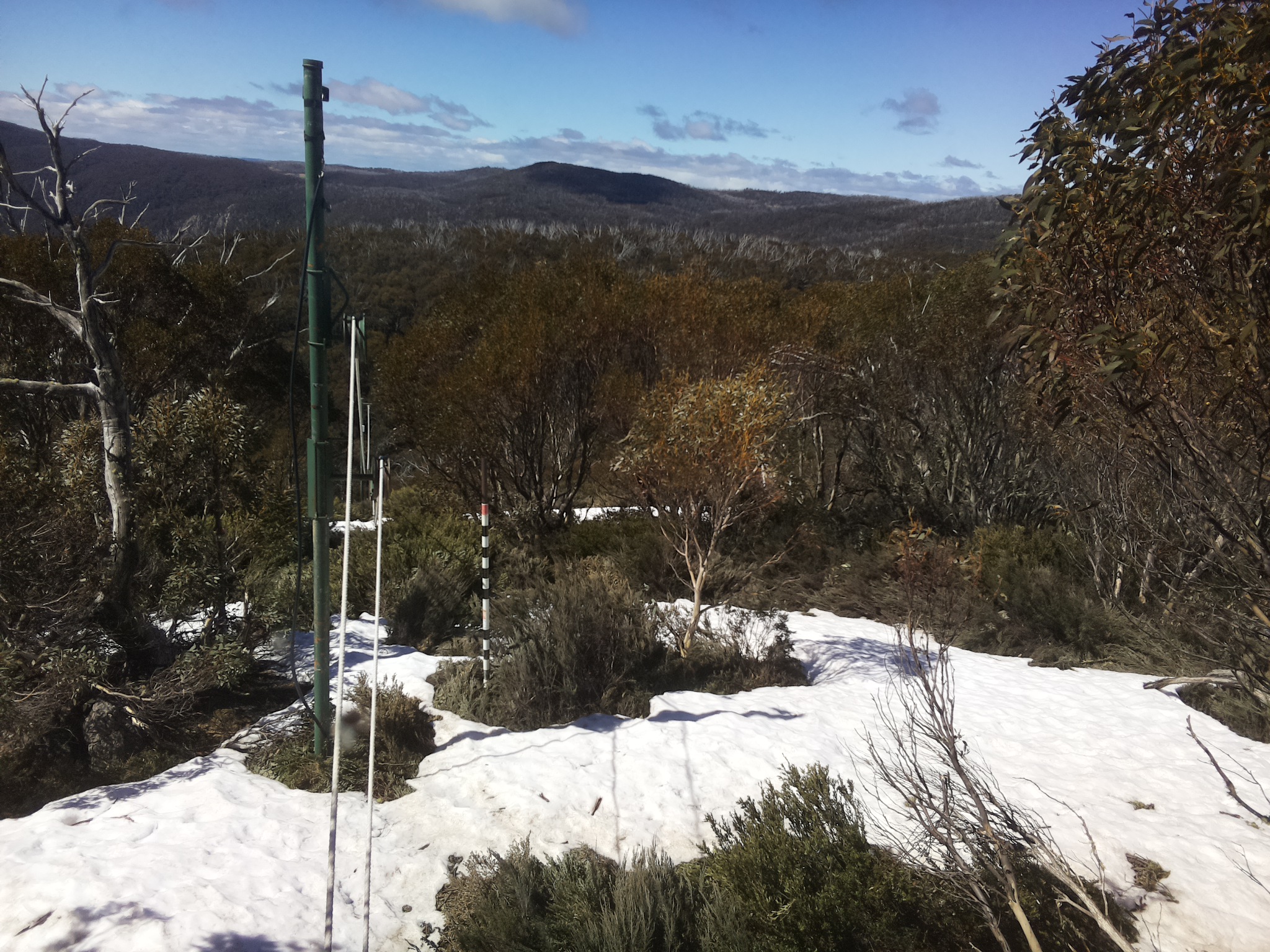 Bogong Web Cam 11:00am Monday 13th of October 2025