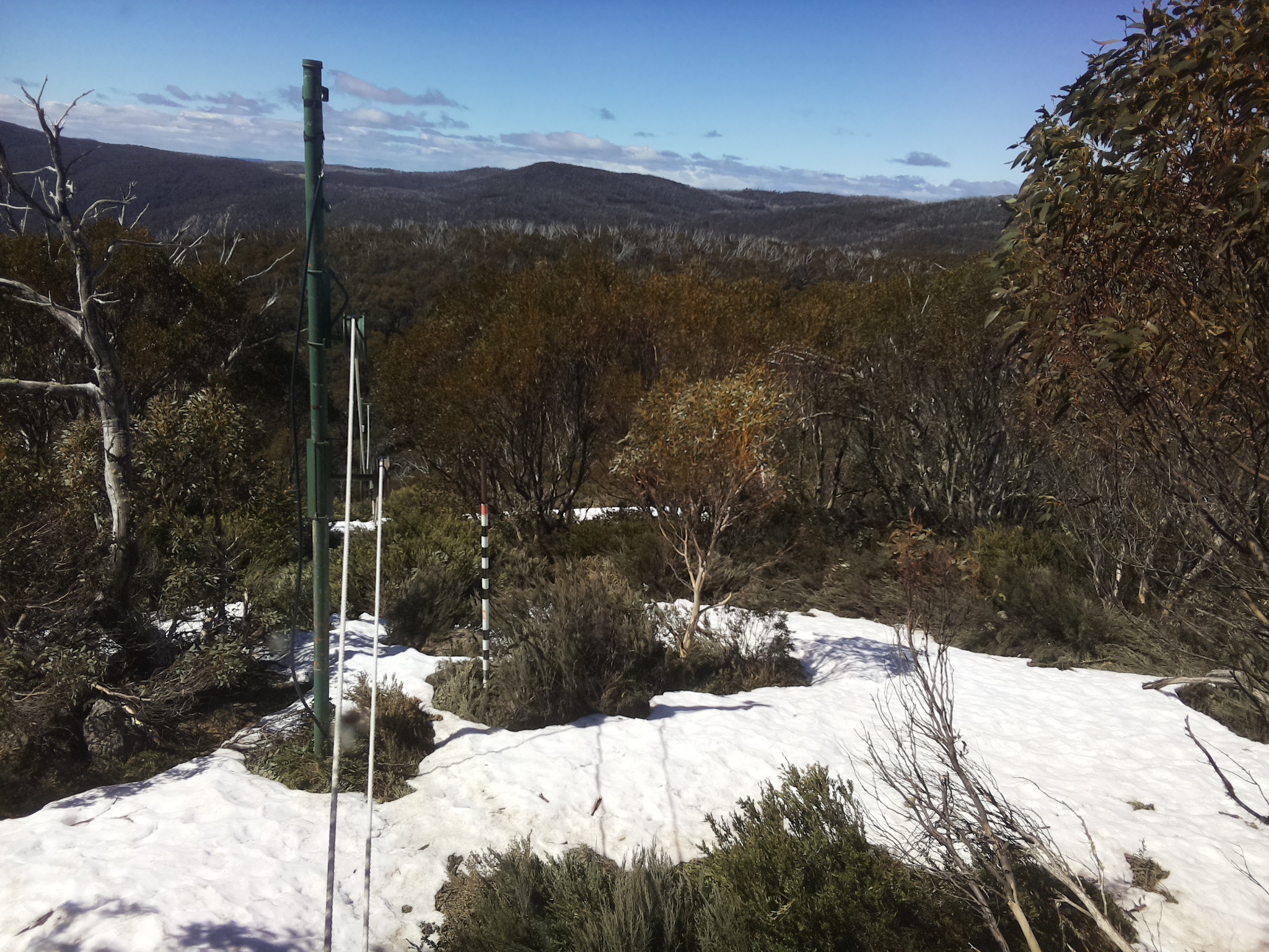 Bogong Web Cam 11:10am Monday 13th of October 2025