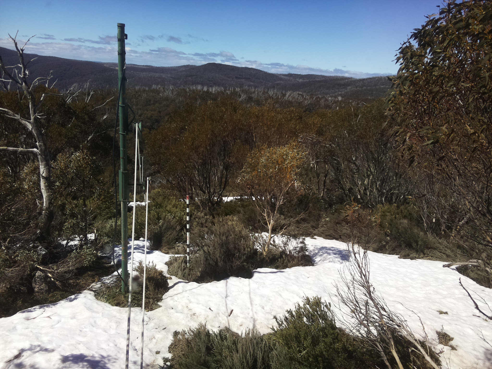 Bogong Web Cam 11:20am Monday 13th of October 2025
