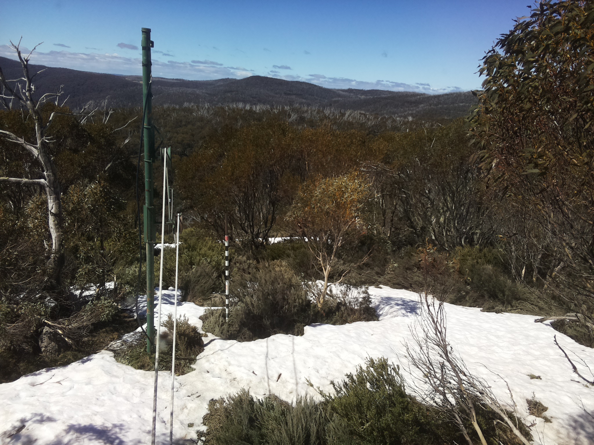 Bogong Web Cam 11:30am Monday 13th of October 2025