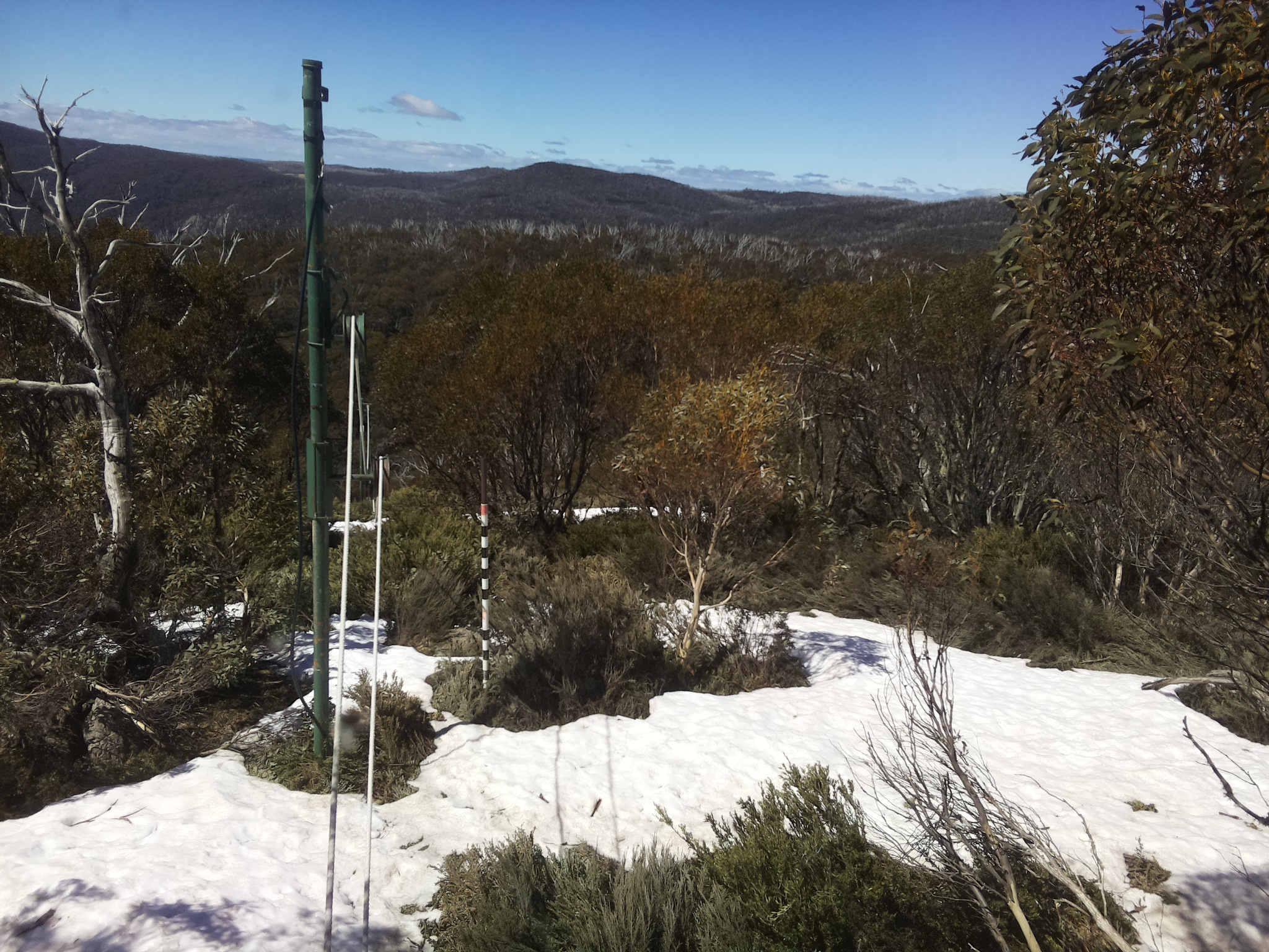 Bogong Web Cam 11:40am Monday 13th of October 2025