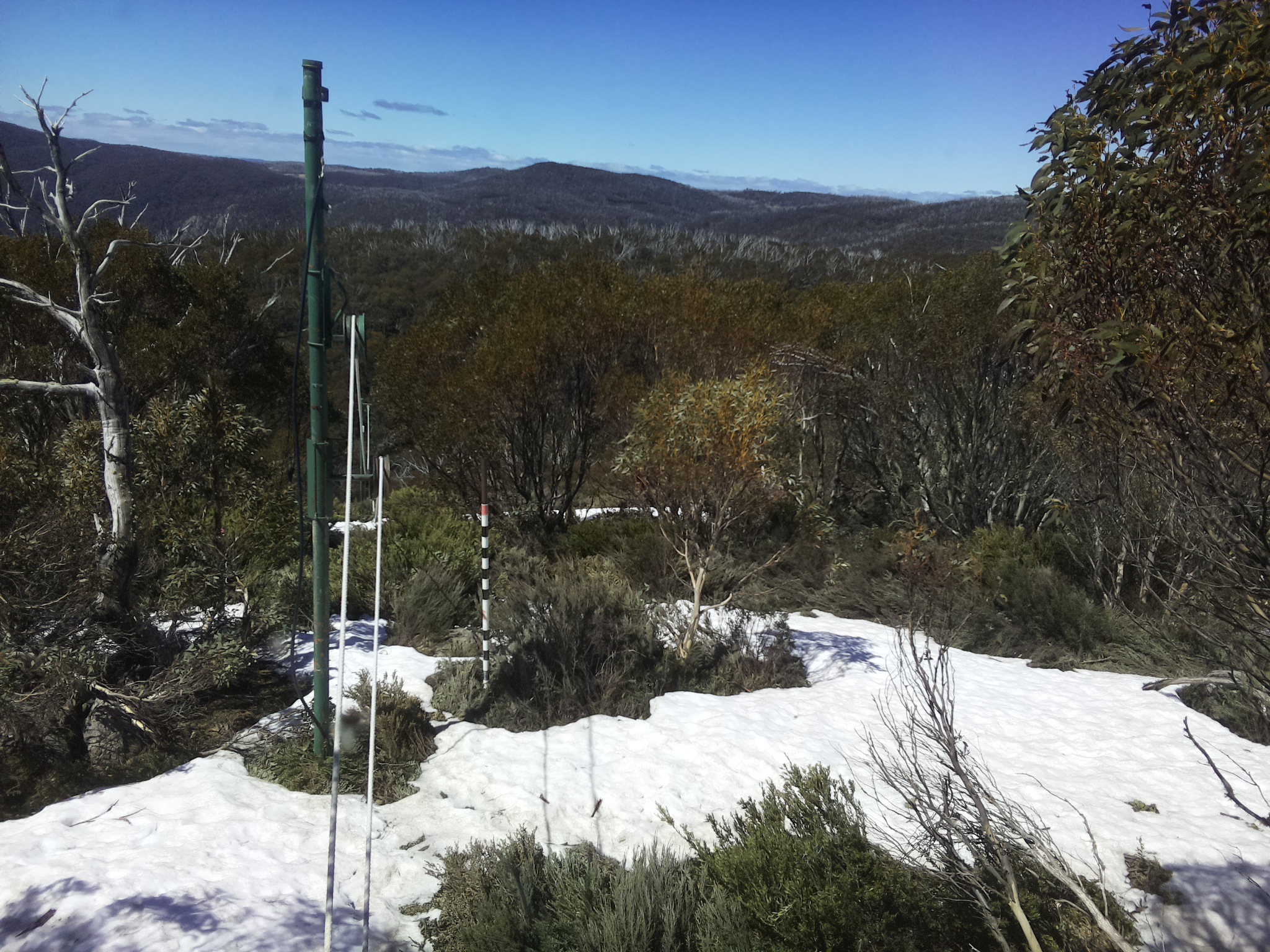 Bogong Web Cam 11:50am Monday 13th of October 2025