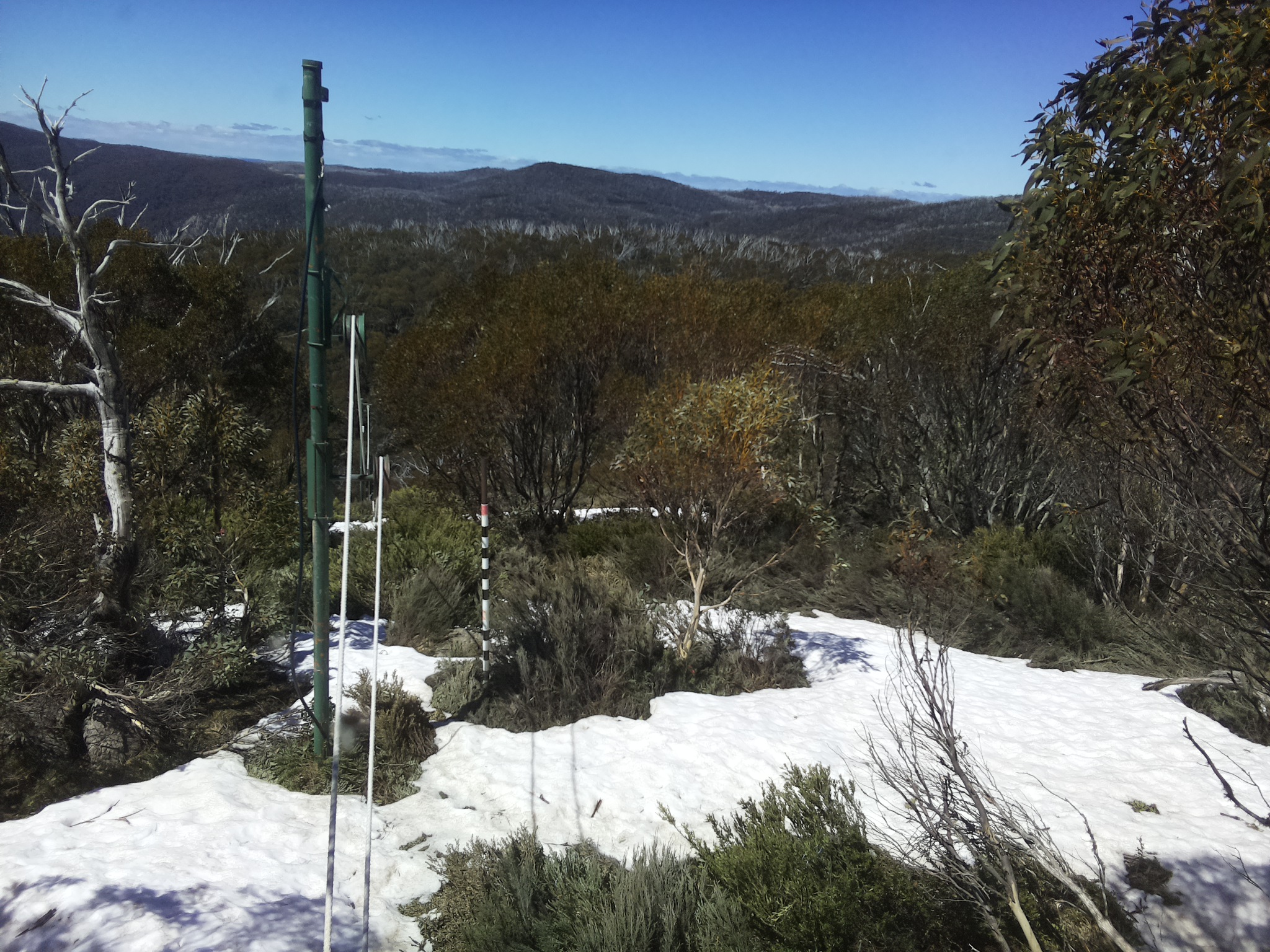 Bogong Web Cam 12:00pm Monday 13th of October 2025