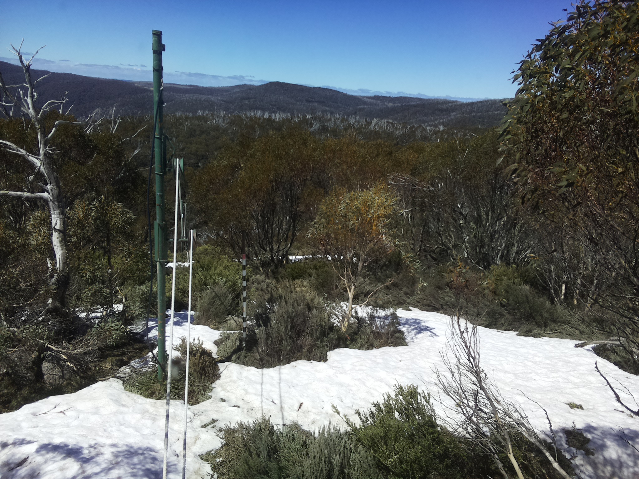 Bogong Web Cam 12:10pm Monday 13th of October 2025