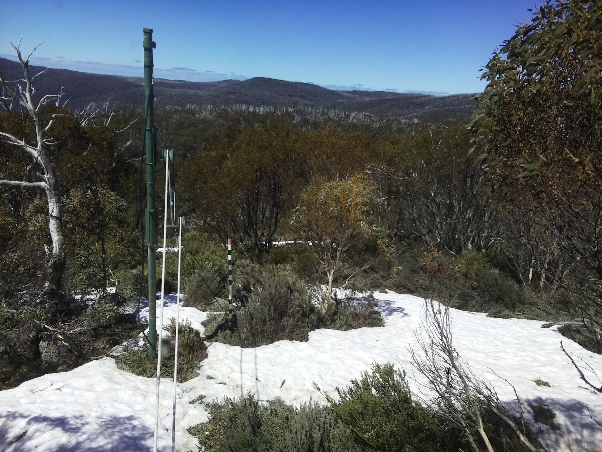 Bogong Web Cam 12:20pm Monday 13th of October 2025