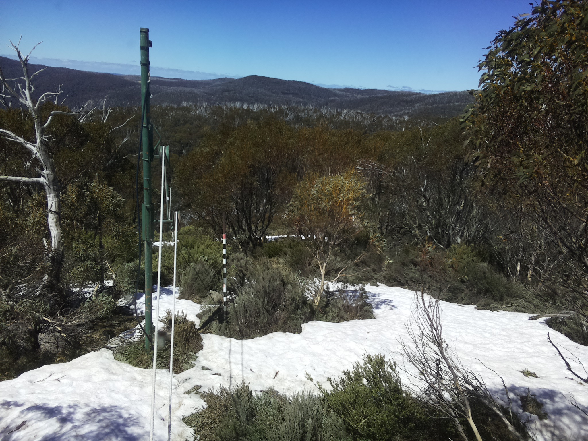 Bogong Web Cam 12:30pm Monday 13th of October 2025