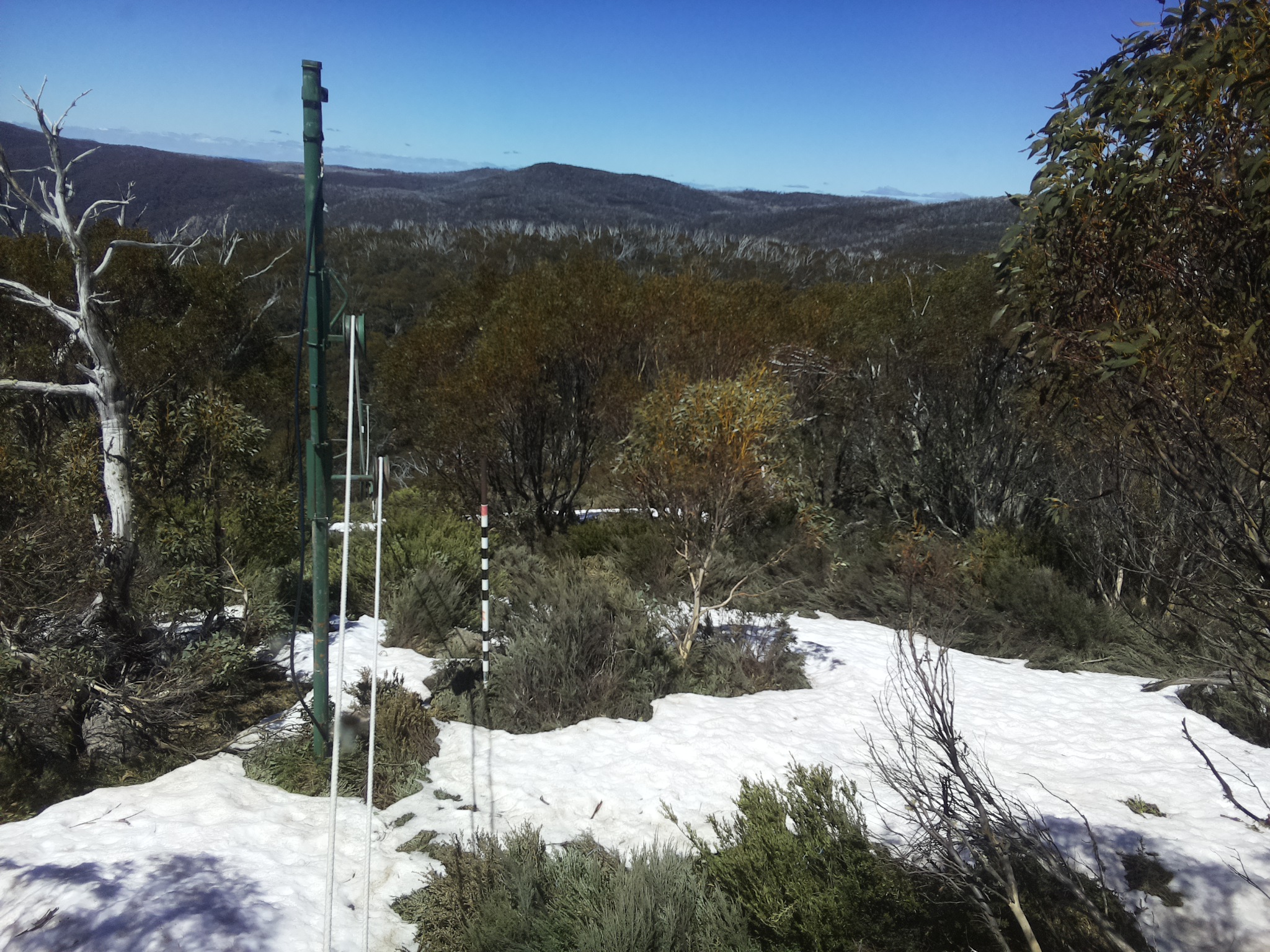 Bogong Web Cam 12:50pm Monday 13th of October 2025
