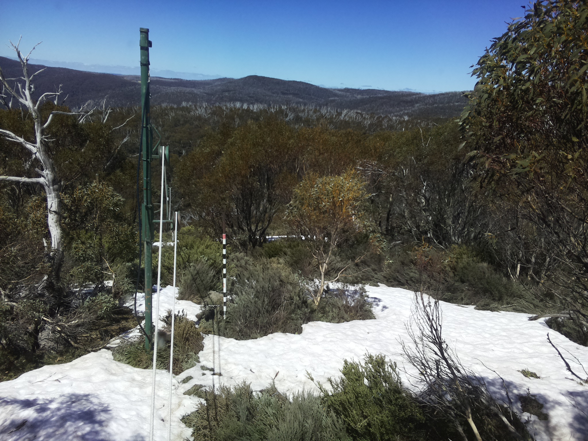Bogong Web Cam 1:00pm Monday 13th of October 2025