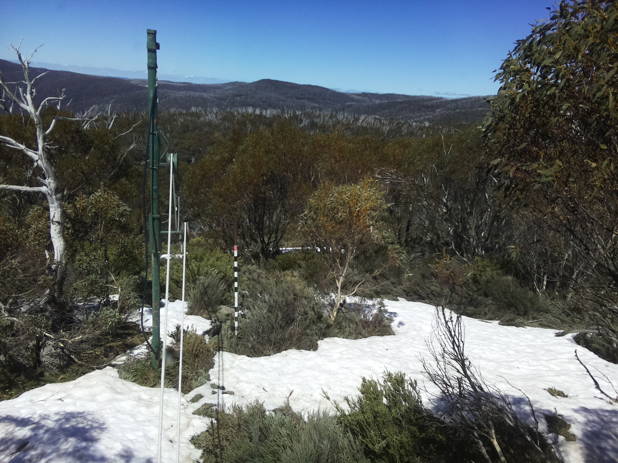 Bogong Web Cam 1:10pm Monday 13th of October 2025