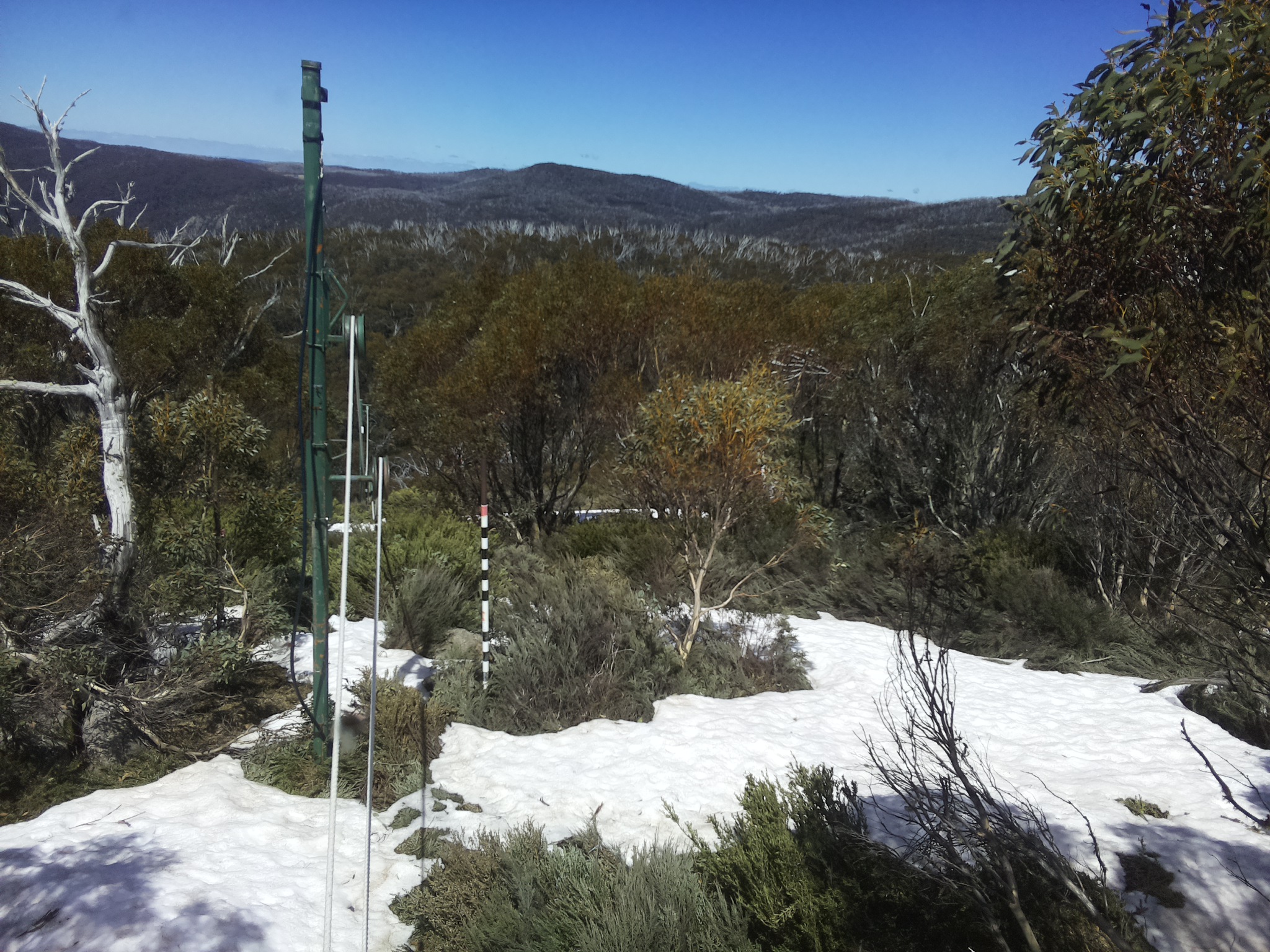 Bogong Web Cam 1:30pm Monday 13th of October 2025