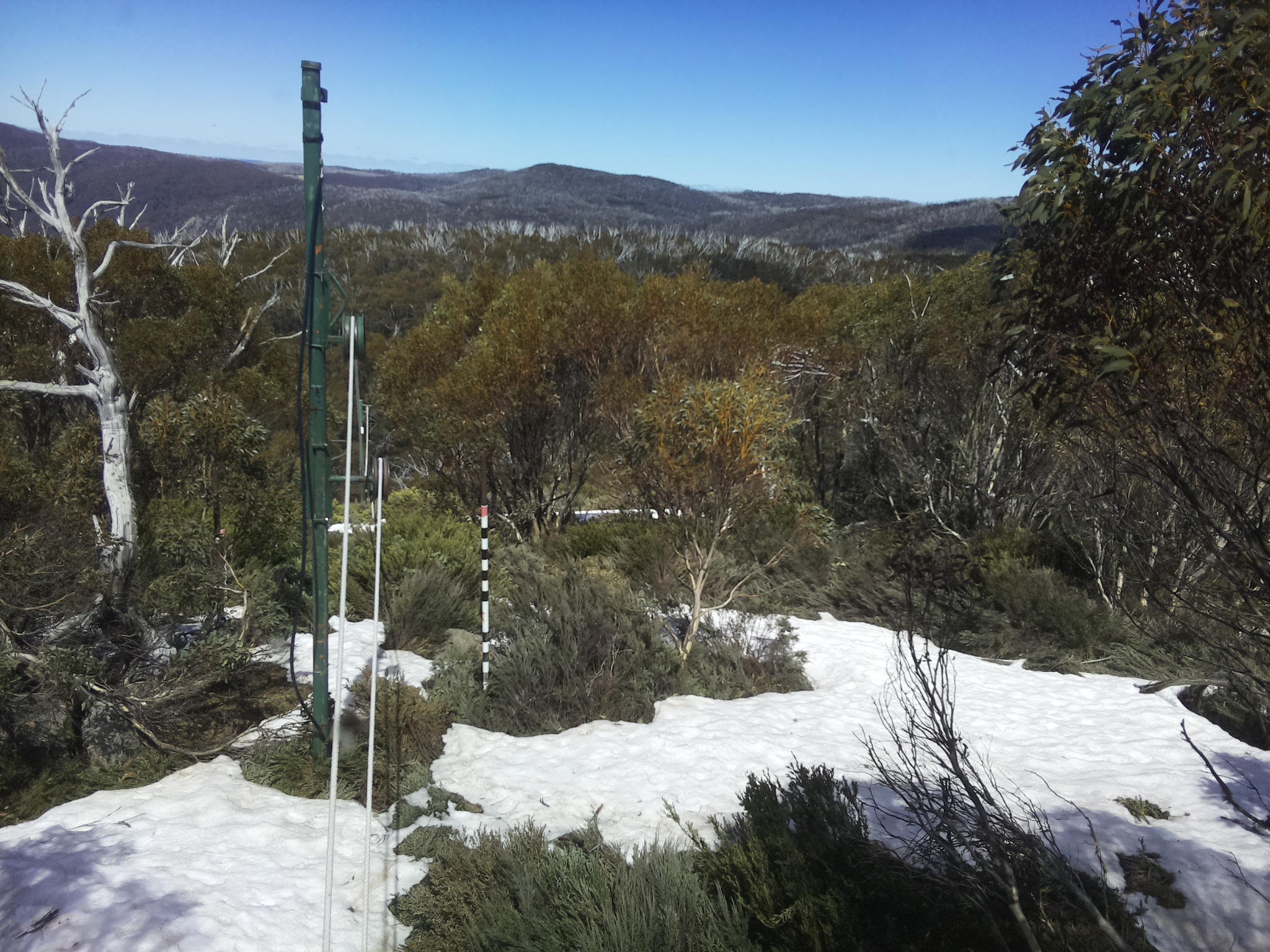 Bogong Web Cam 1:50pm Monday 13th of October 2025
