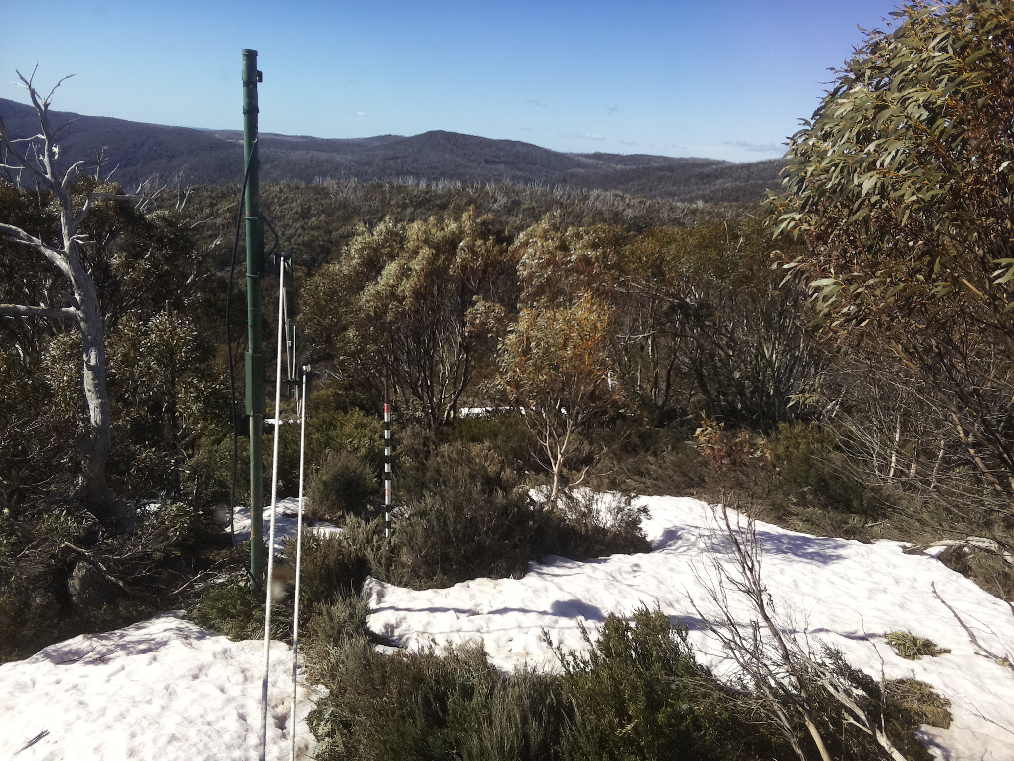 Bogong Web Cam 9:50am Tuesday 14th of October 2025