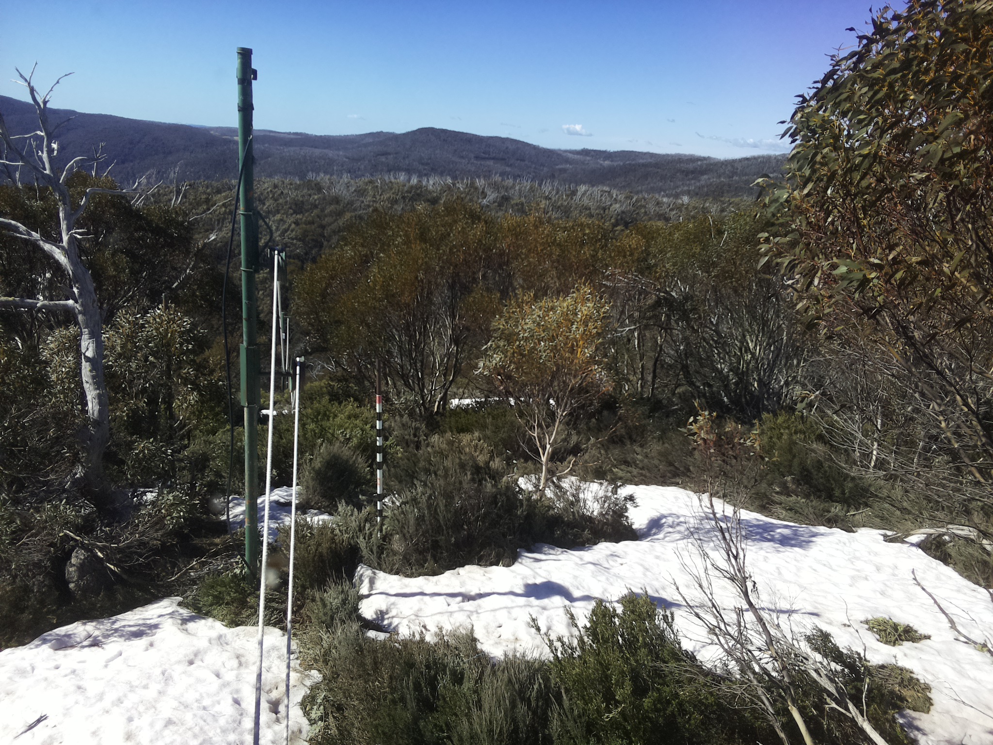 Bogong Web Cam 10:00am Tuesday 14th of October 2025