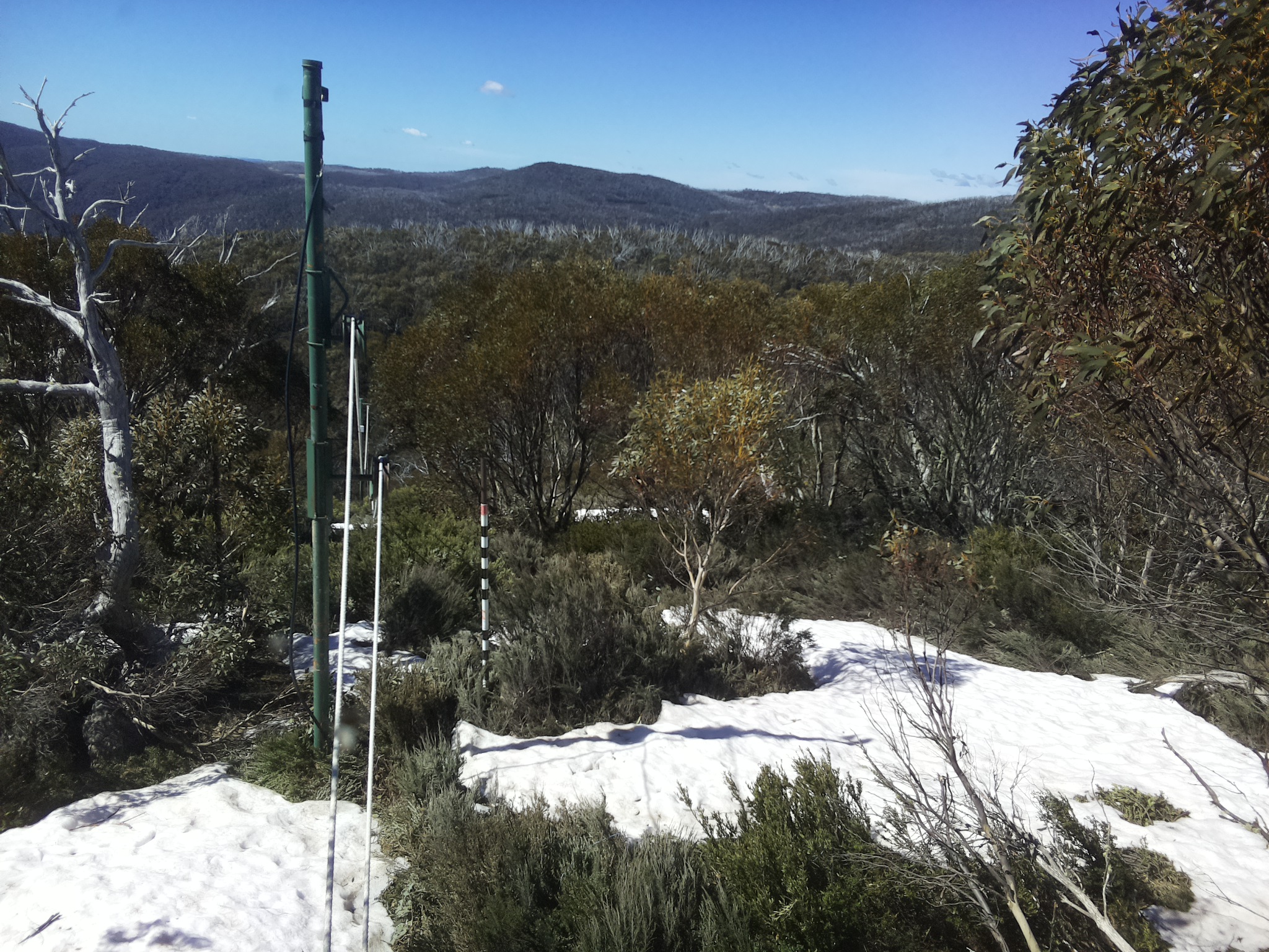Bogong Web Cam 10:40am Tuesday 14th of October 2025