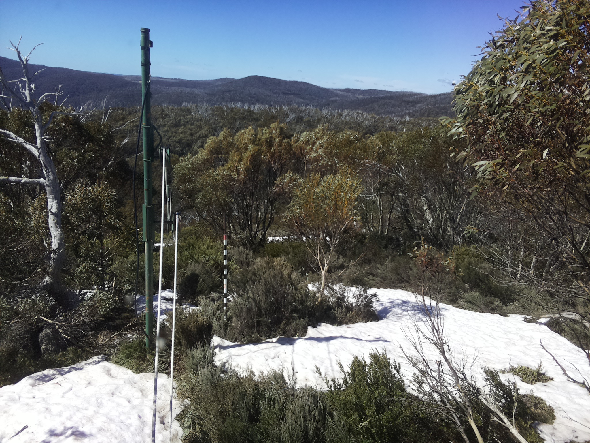 Bogong Web Cam 10:50am Tuesday 14th of October 2025