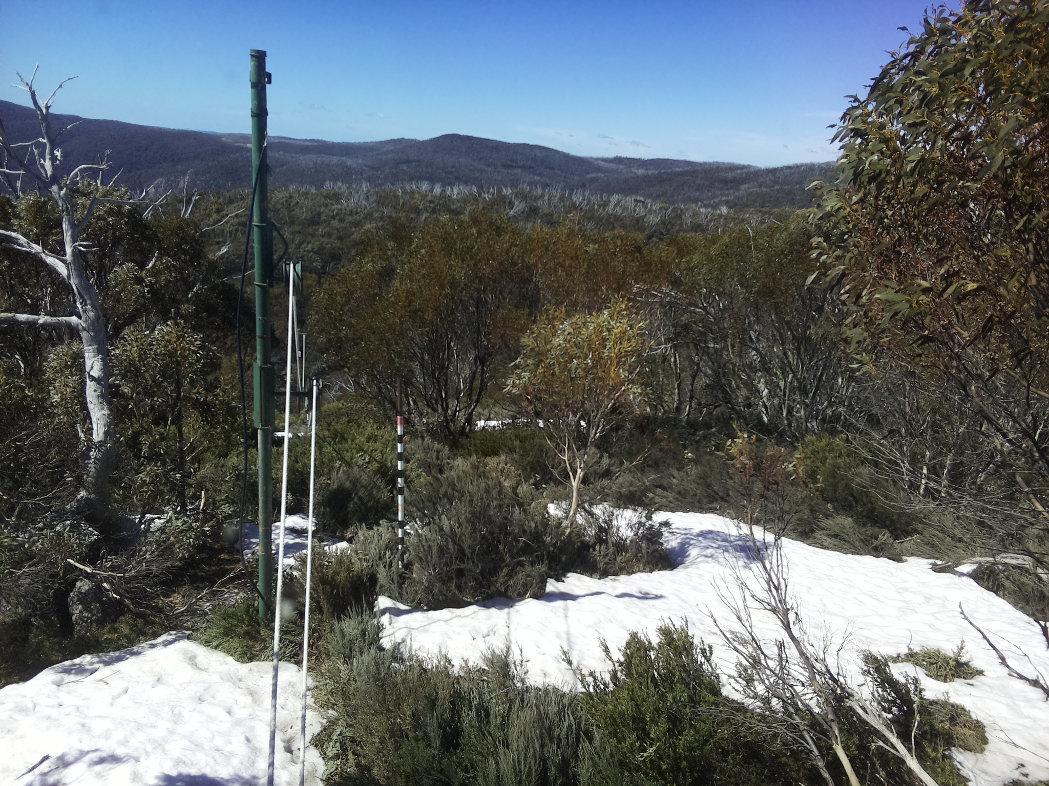 Bogong Web Cam 11:00am Tuesday 14th of October 2025
