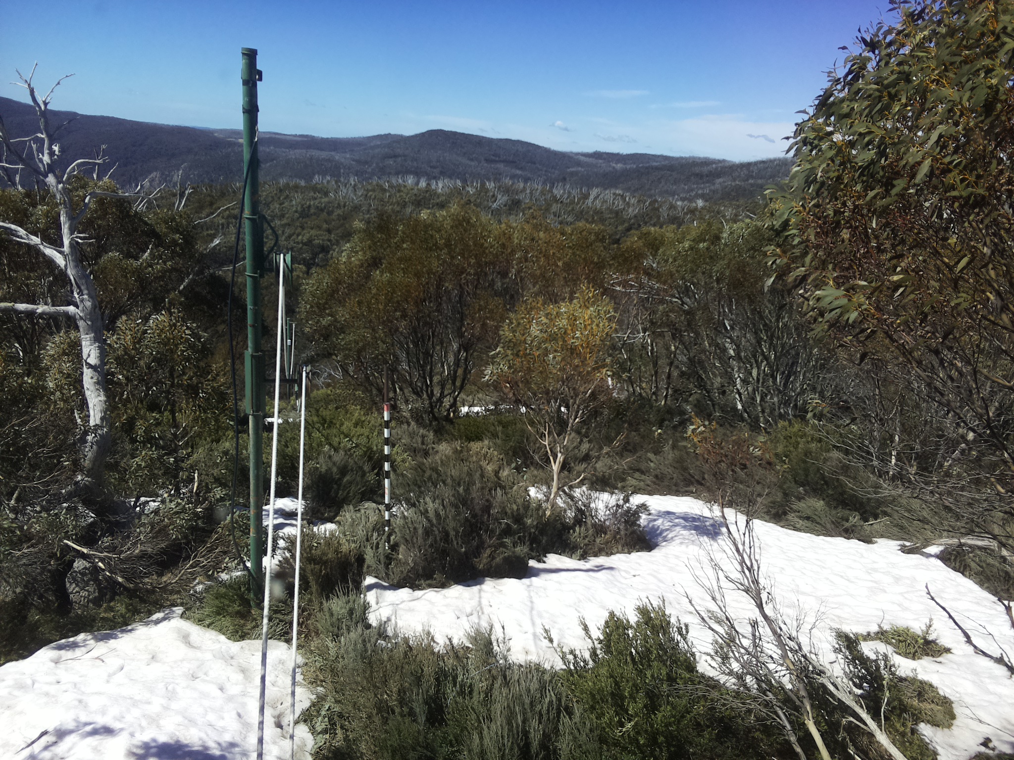 Bogong Web Cam 11:10am Tuesday 14th of October 2025