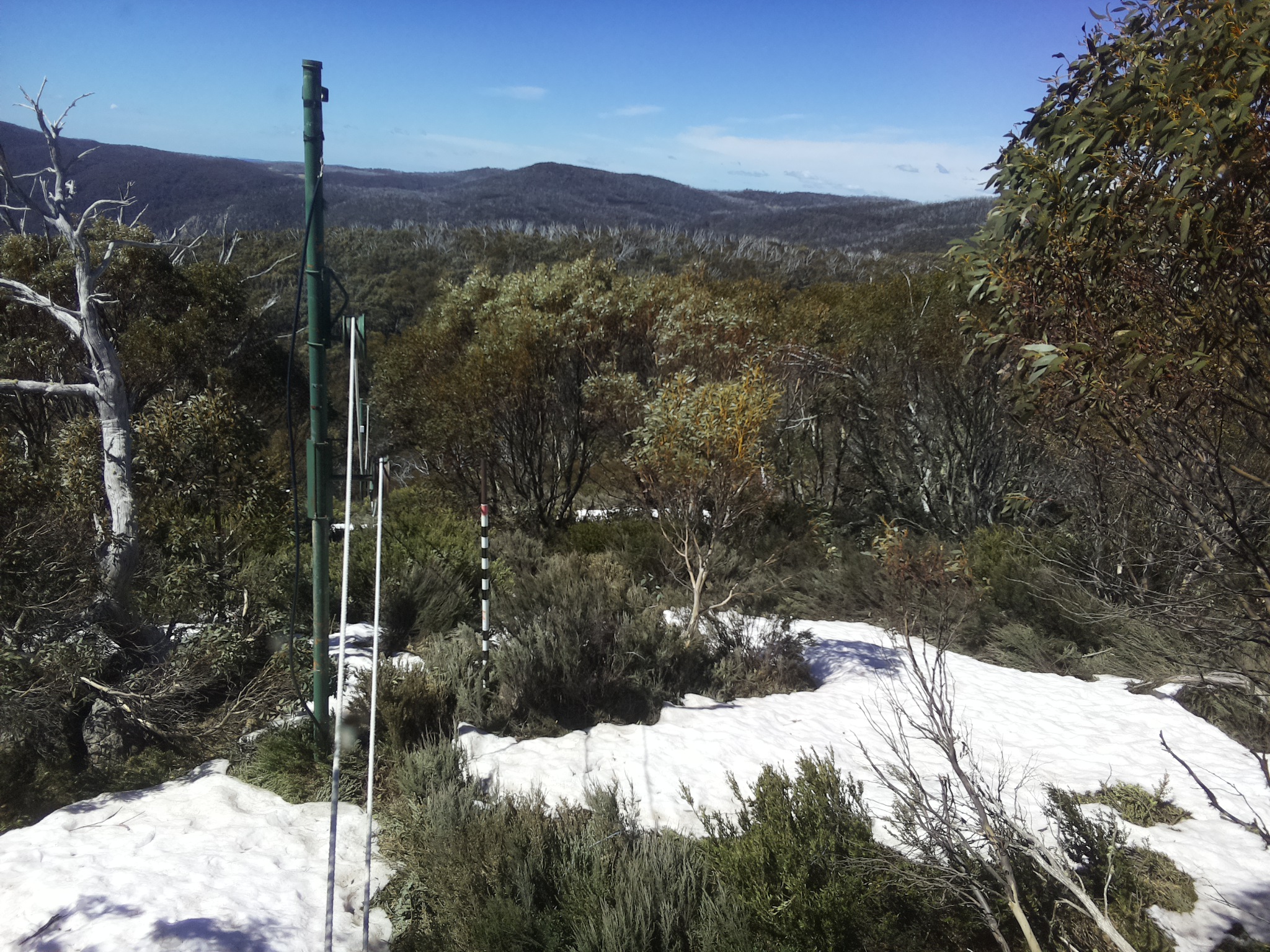 Bogong Web Cam 11:20am Tuesday 14th of October 2025