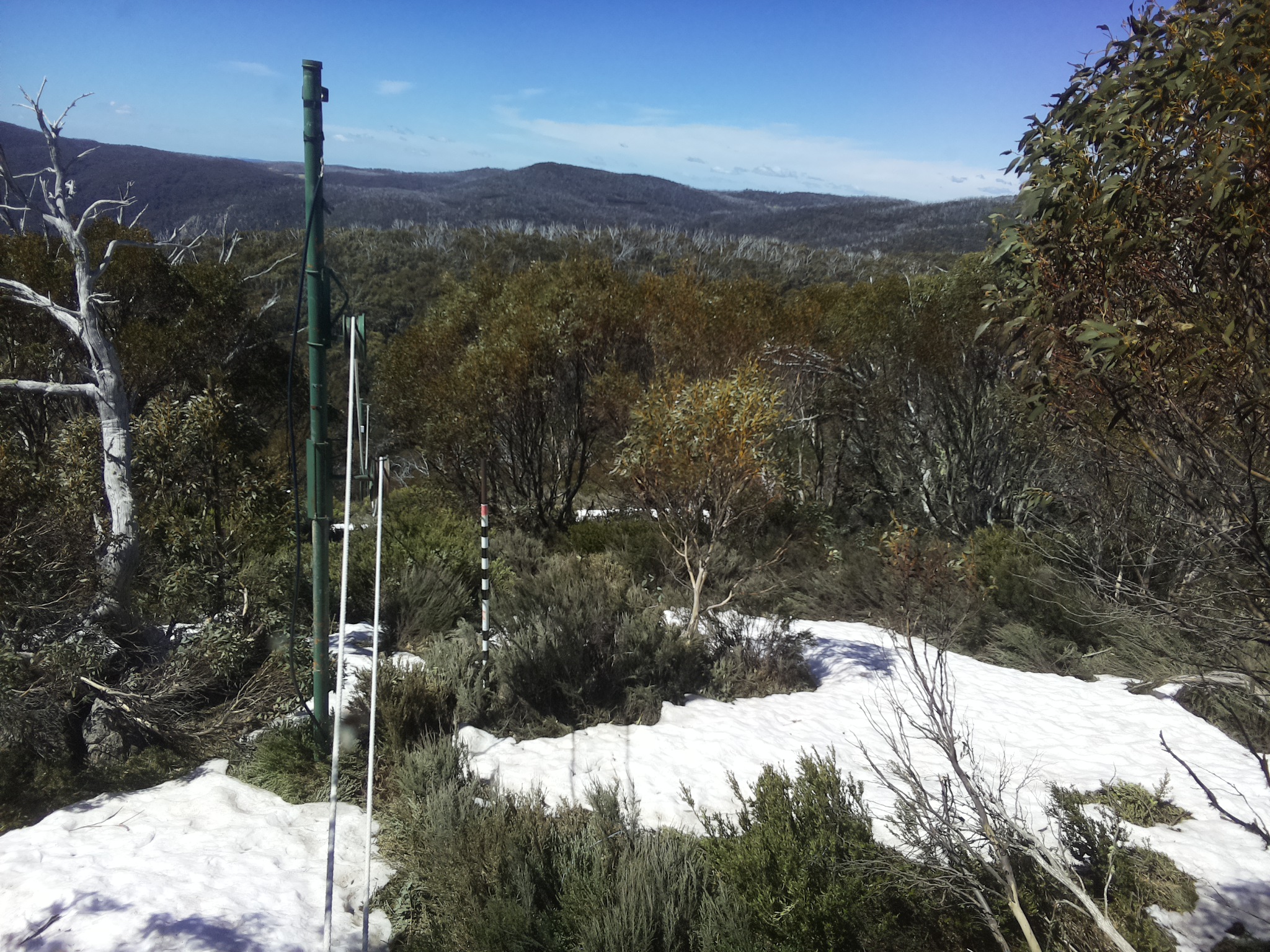Bogong Web Cam 11:30am Tuesday 14th of October 2025