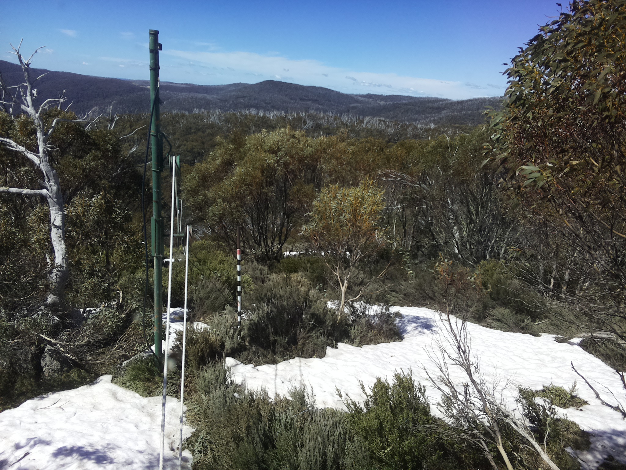 Bogong Web Cam 11:40am Tuesday 14th of October 2025
