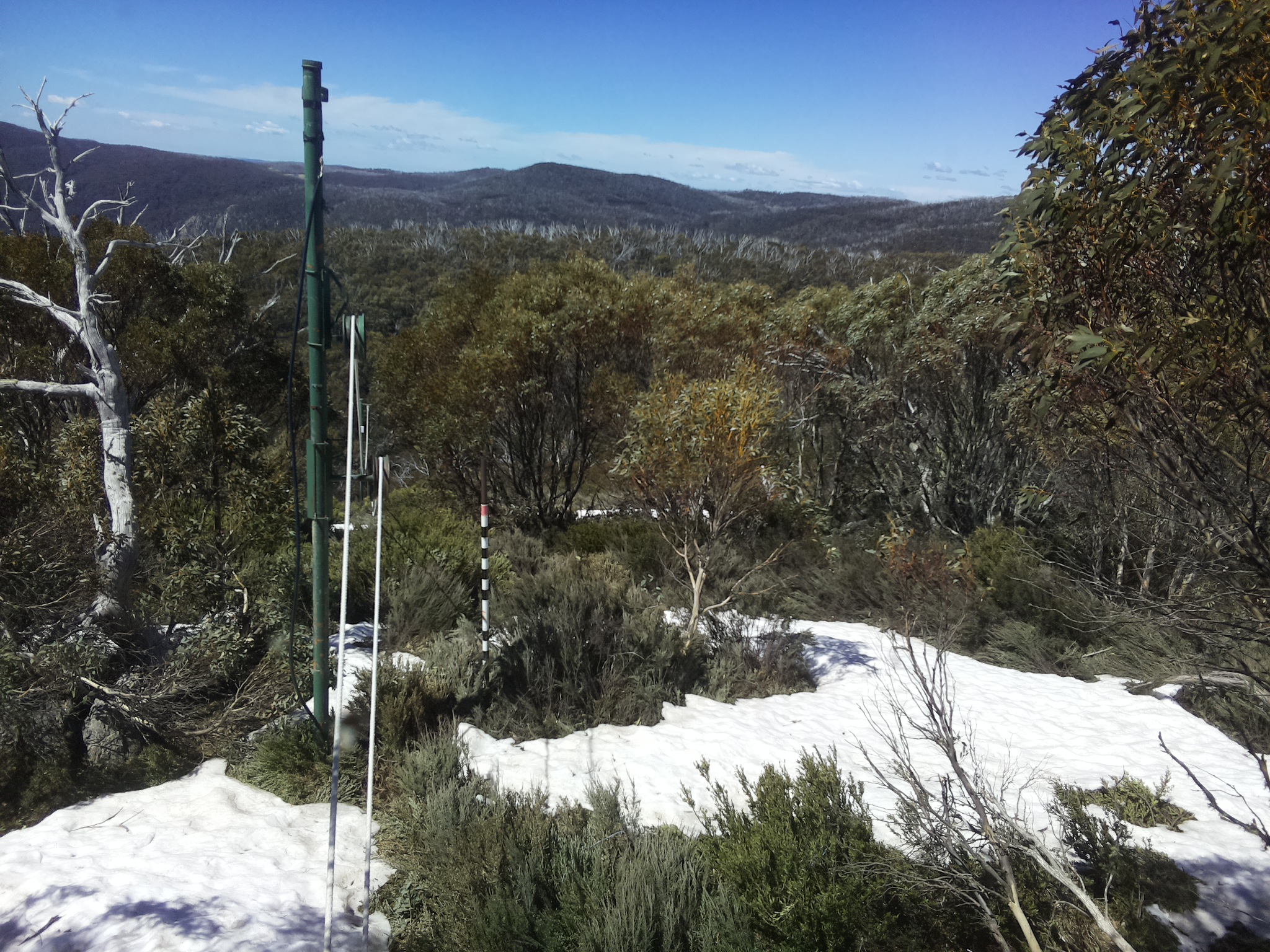 Bogong Web Cam 11:50am Tuesday 14th of October 2025