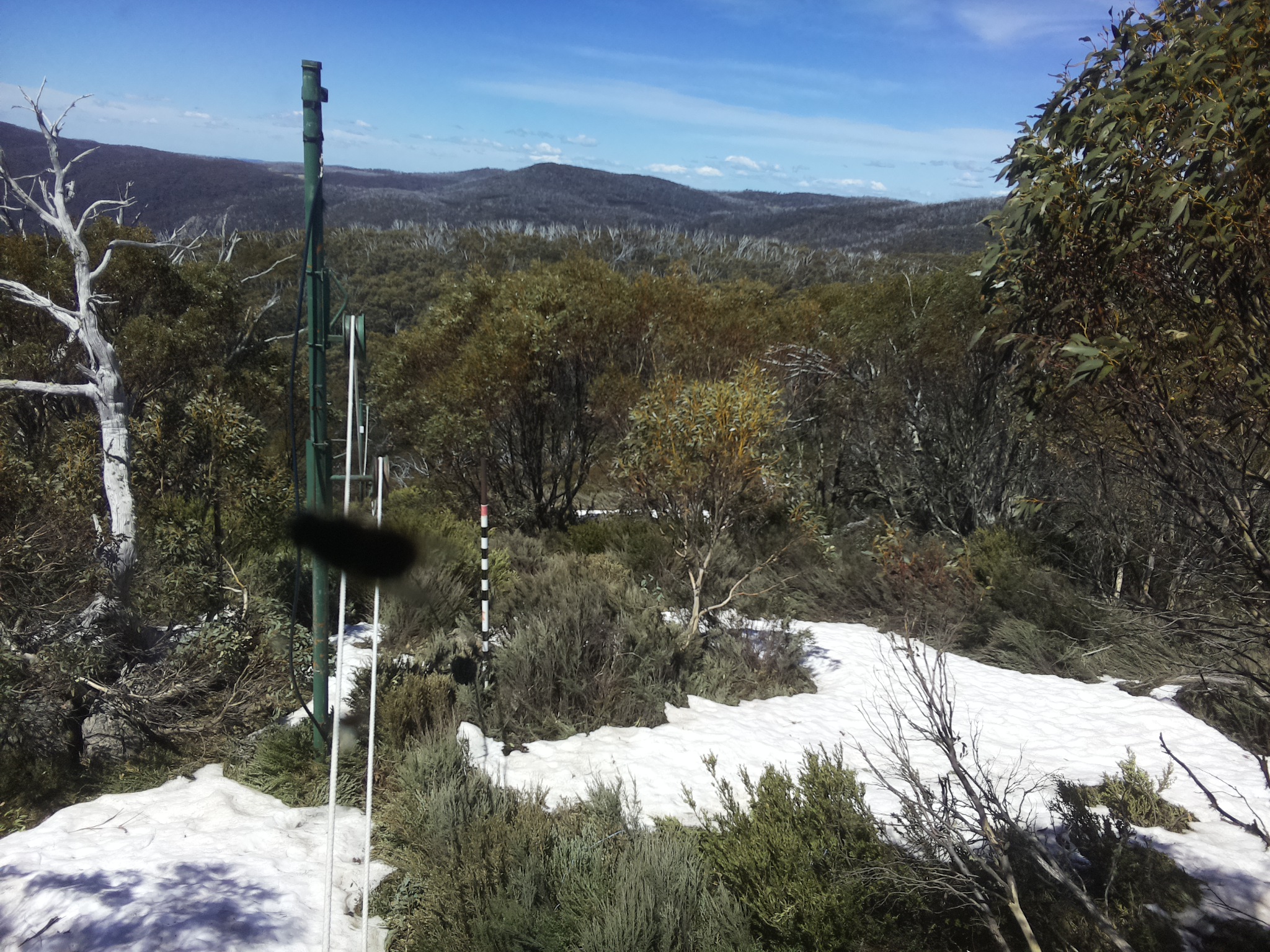 Bogong Web Cam 12:40pm Tuesday 14th of October 2025