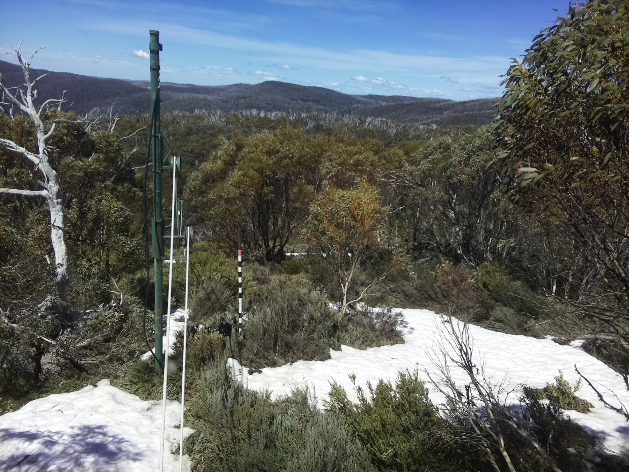 Bogong Web Cam 12:50pm Tuesday 14th of October 2025