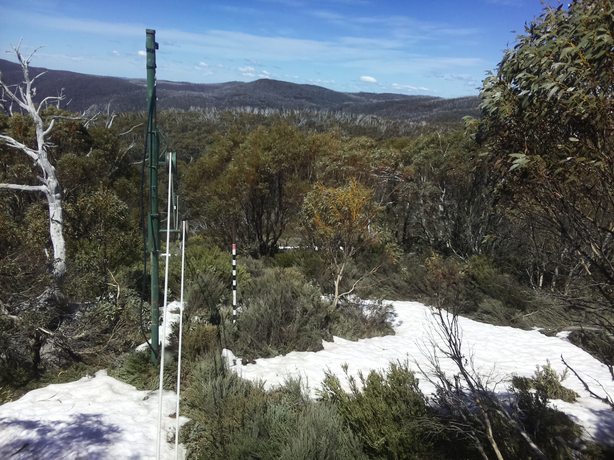 Bogong Web Cam 1:00pm Tuesday 14th of October 2025