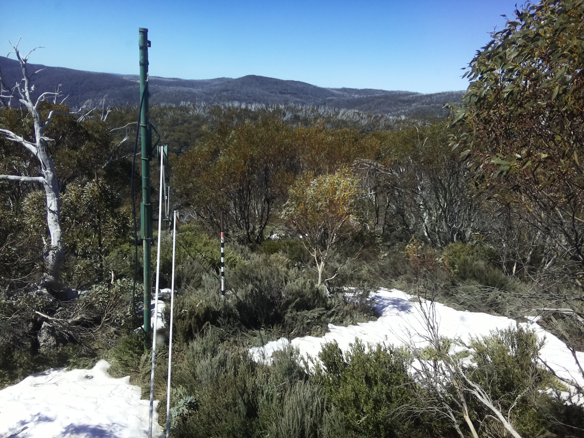 Bogong Web Cam 11:30am Wednesday 15th of October 2025