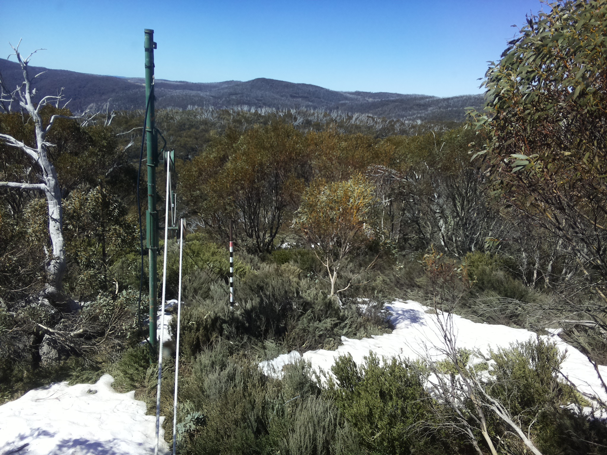 Bogong Web Cam 11:40am Wednesday 15th of October 2025