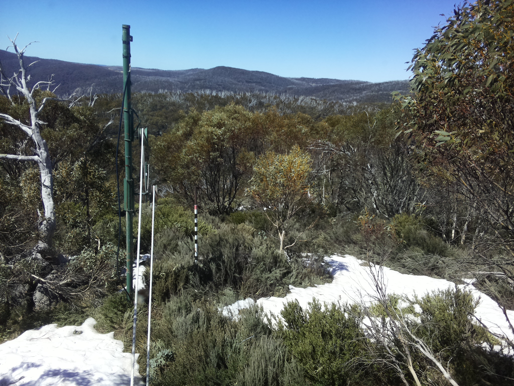 Bogong Web Cam 11:50am Wednesday 15th of October 2025