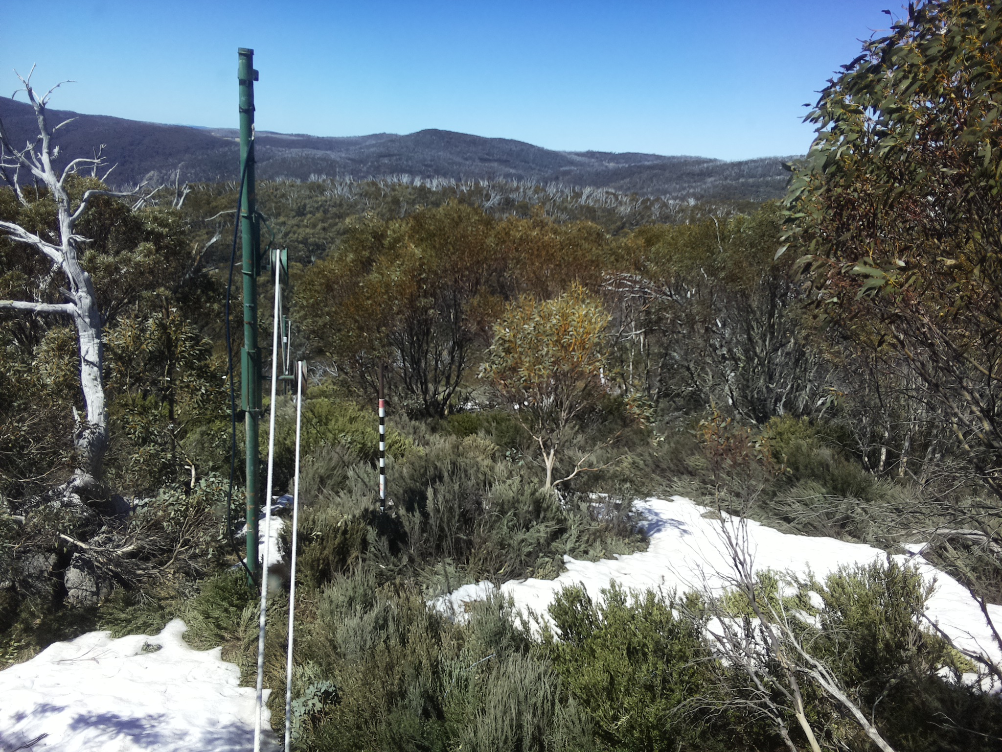 Bogong Web Cam 12:00pm Wednesday 15th of October 2025
