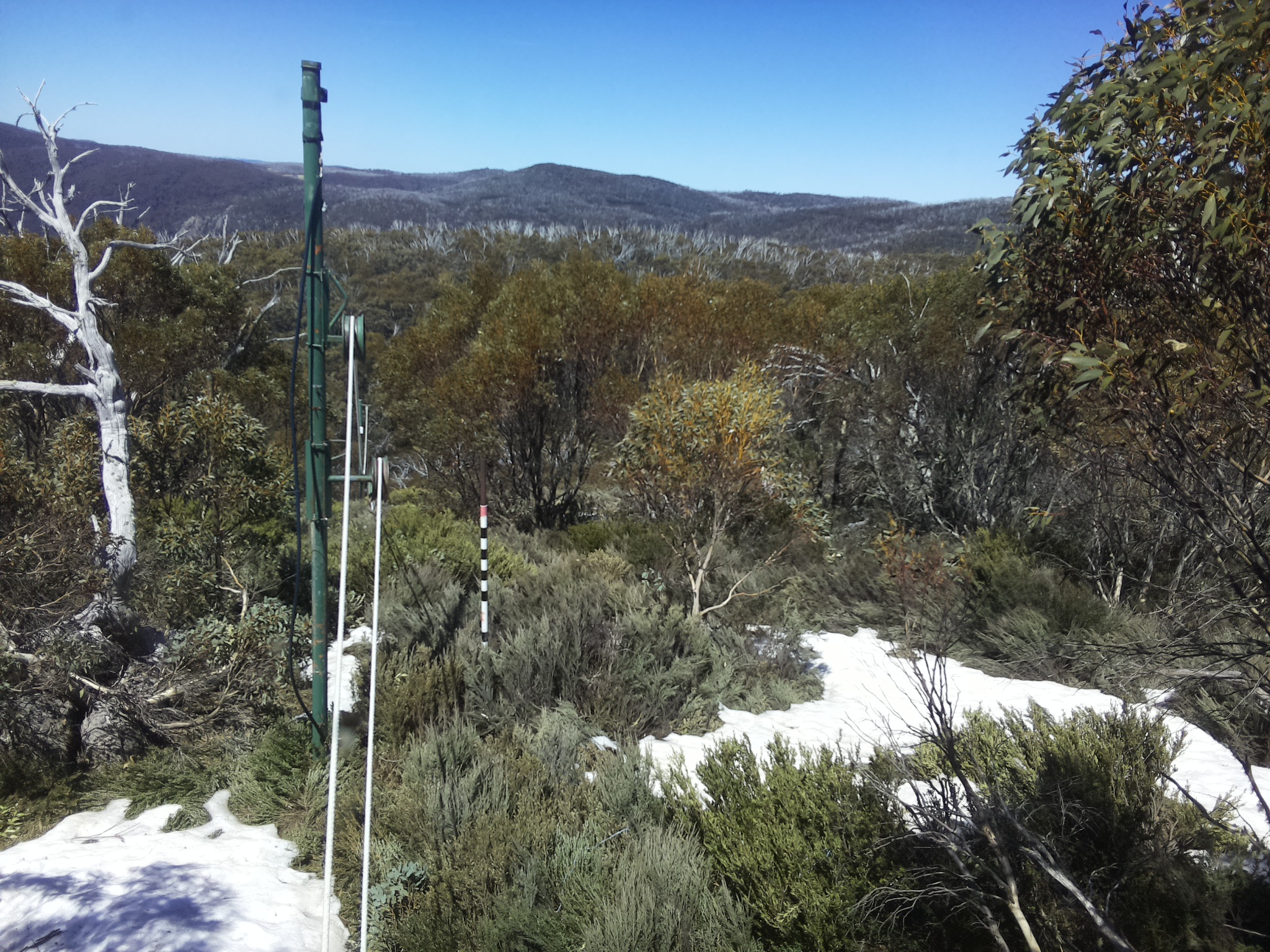 Bogong Web Cam 1:00pm Wednesday 15th of October 2025