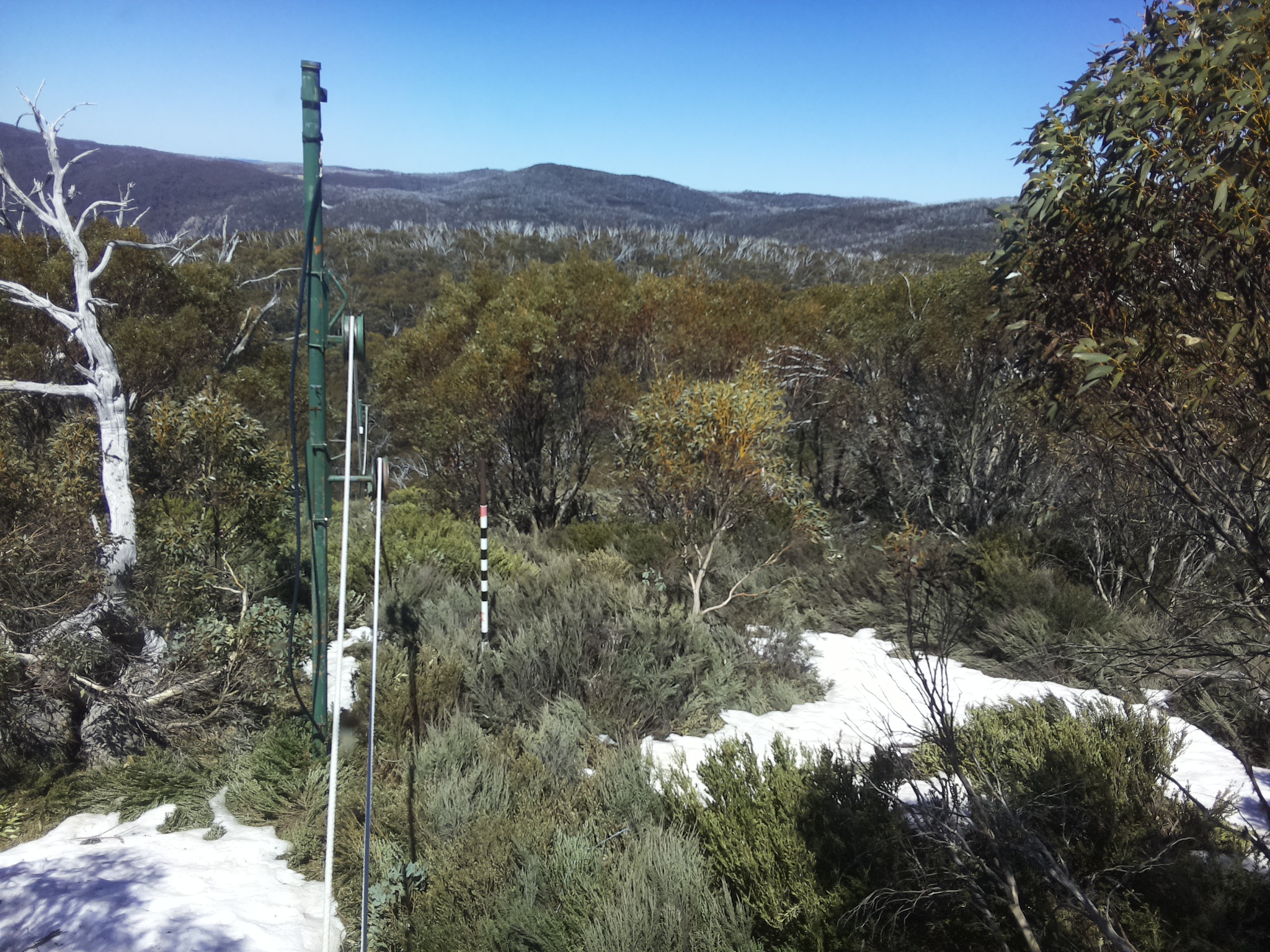 Bogong Web Cam 1:30pm Wednesday 15th of October 2025