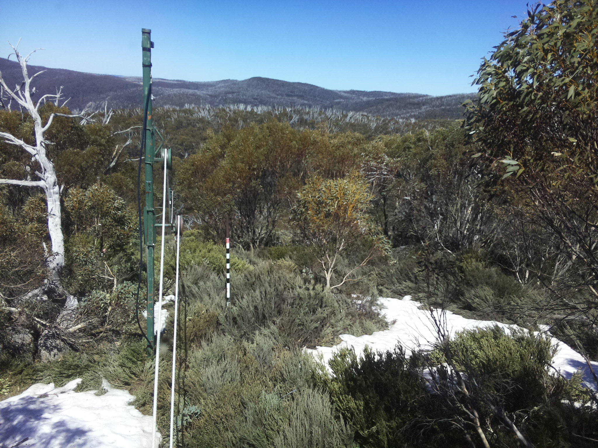Bogong Web Cam 1:50pm Wednesday 15th of October 2025