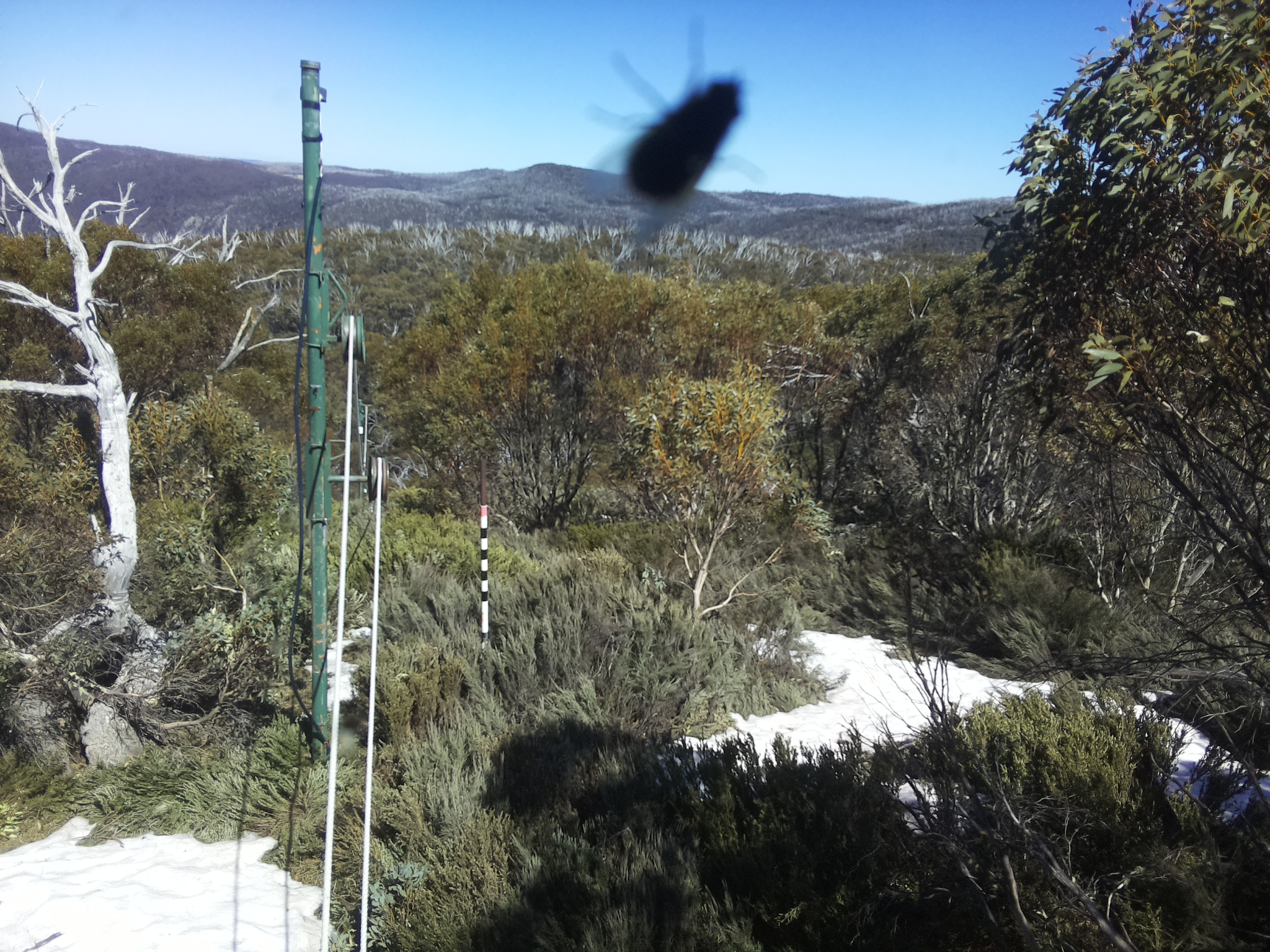 Bogong Web Cam 3:00pm Wednesday 15th of October 2025