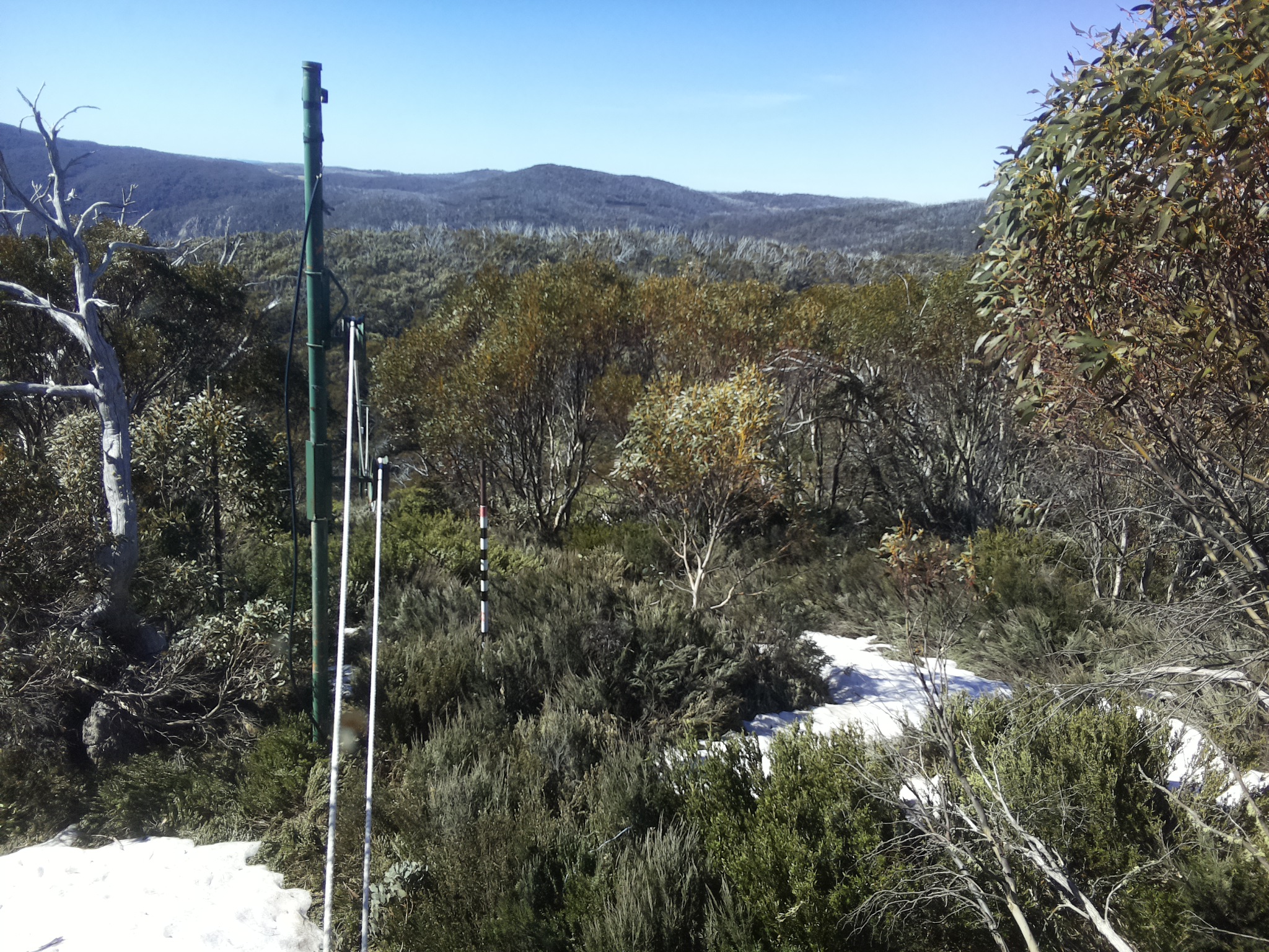 Bogong Web Cam 10:00am Thursday 16th of October 2025