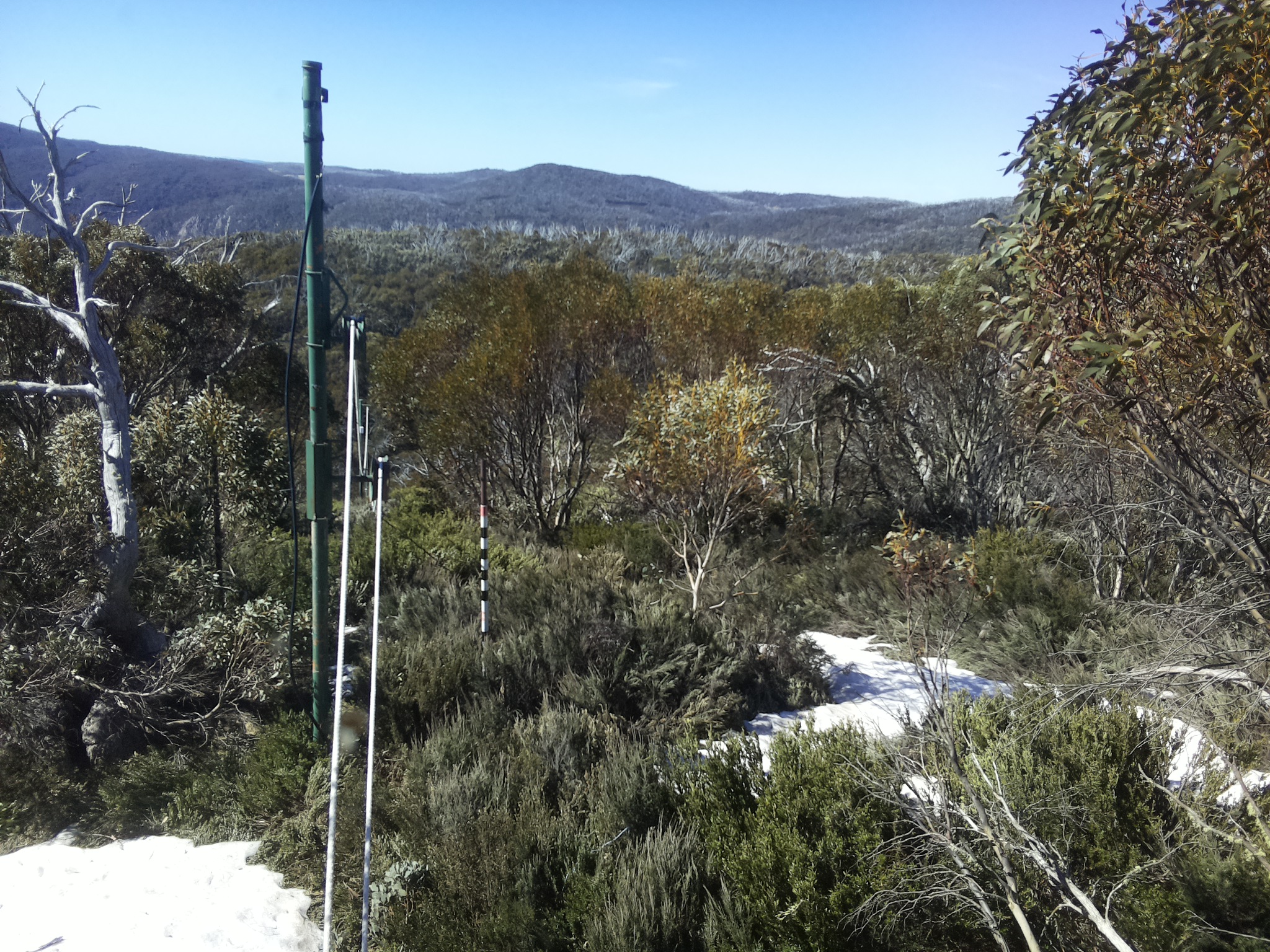 Bogong Web Cam 10:10am Thursday 16th of October 2025