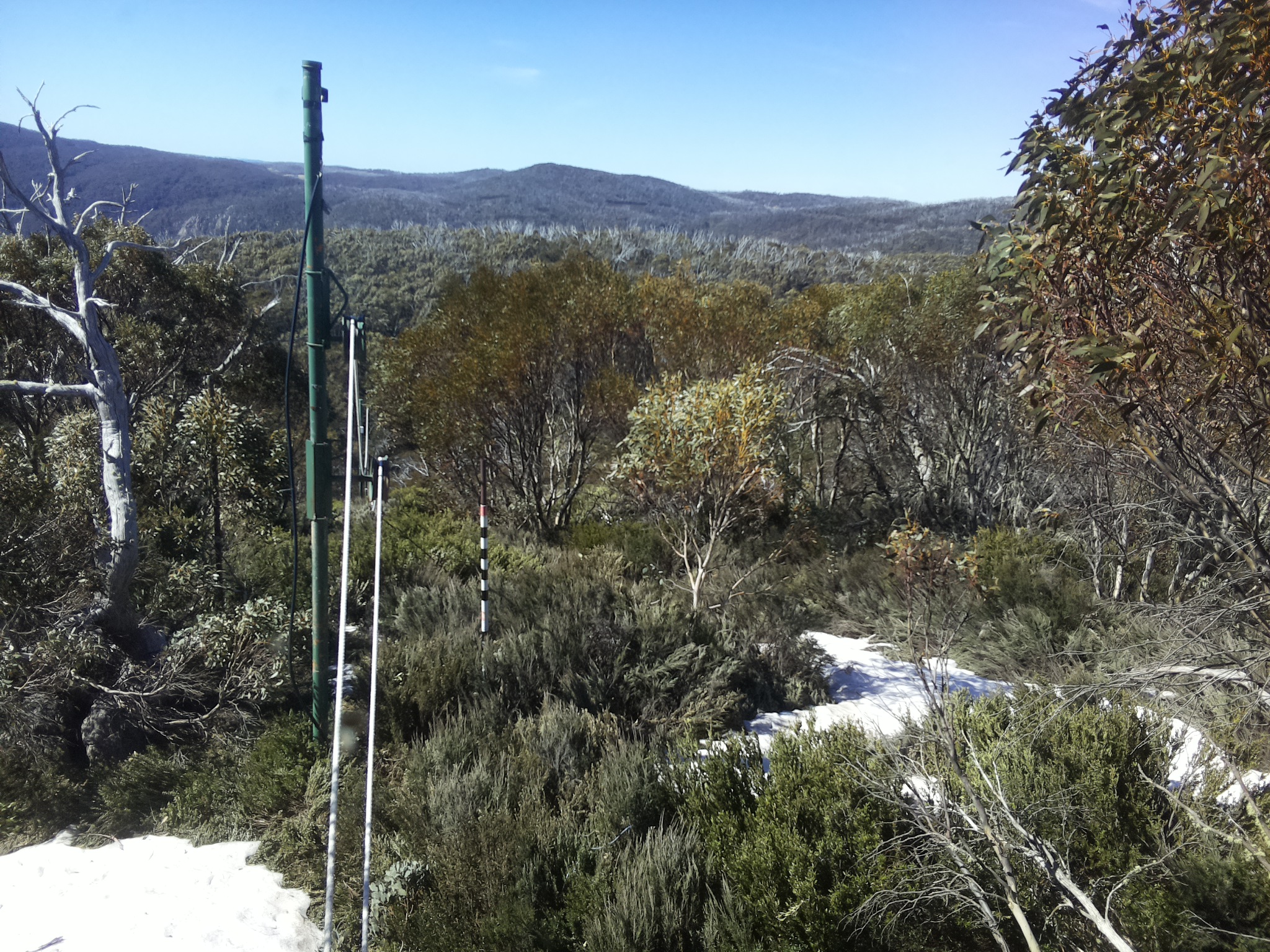 Bogong Web Cam 10:20am Thursday 16th of October 2025