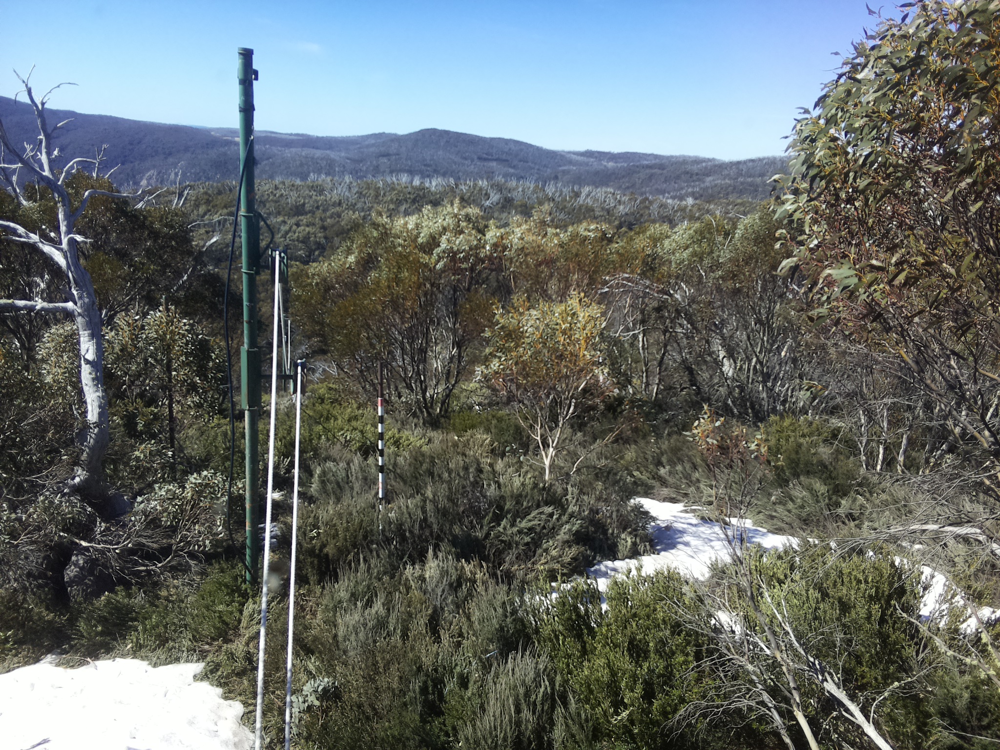 Bogong Web Cam 10:30am Thursday 16th of October 2025