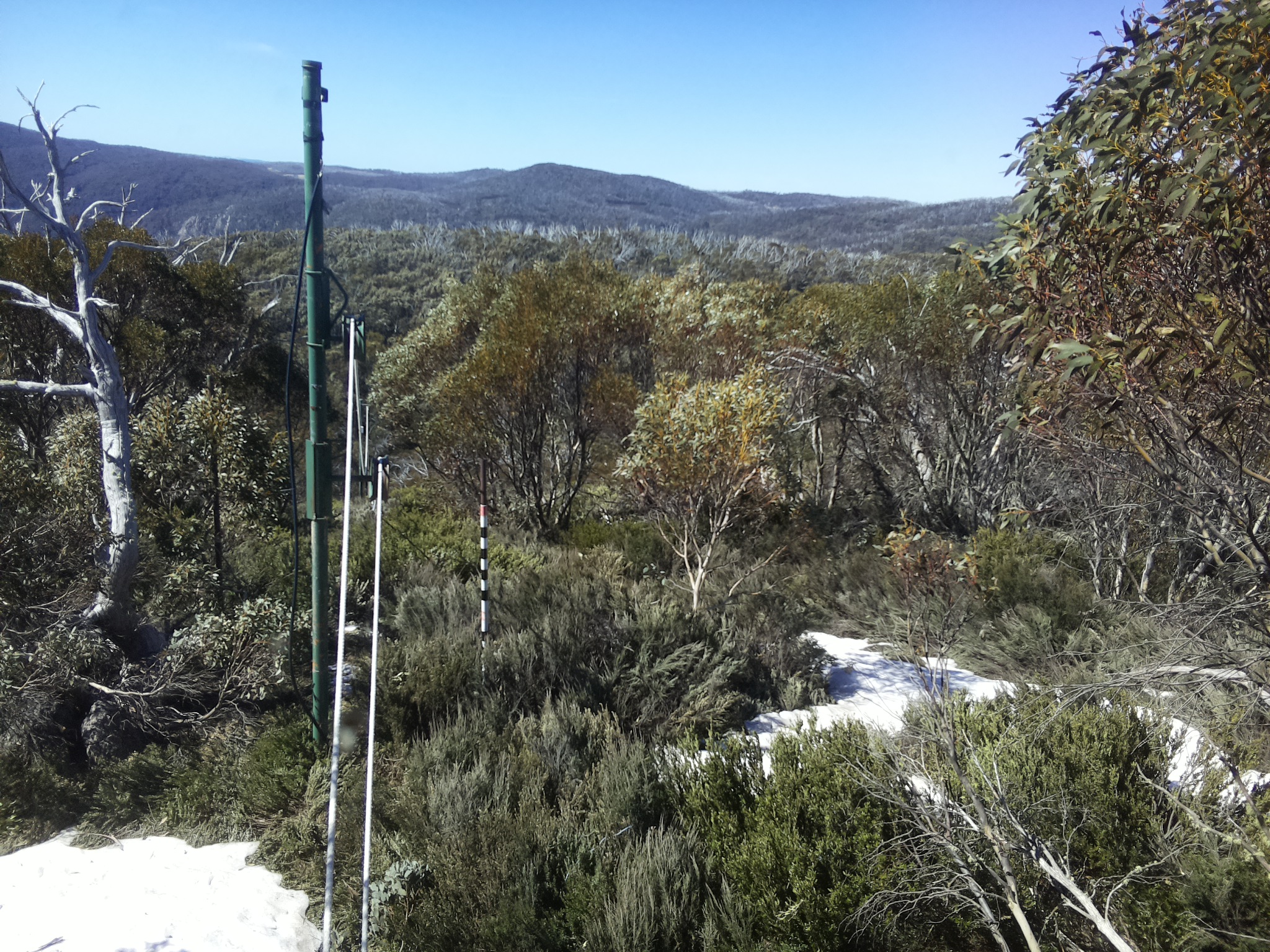 Bogong Web Cam 10:40am Thursday 16th of October 2025