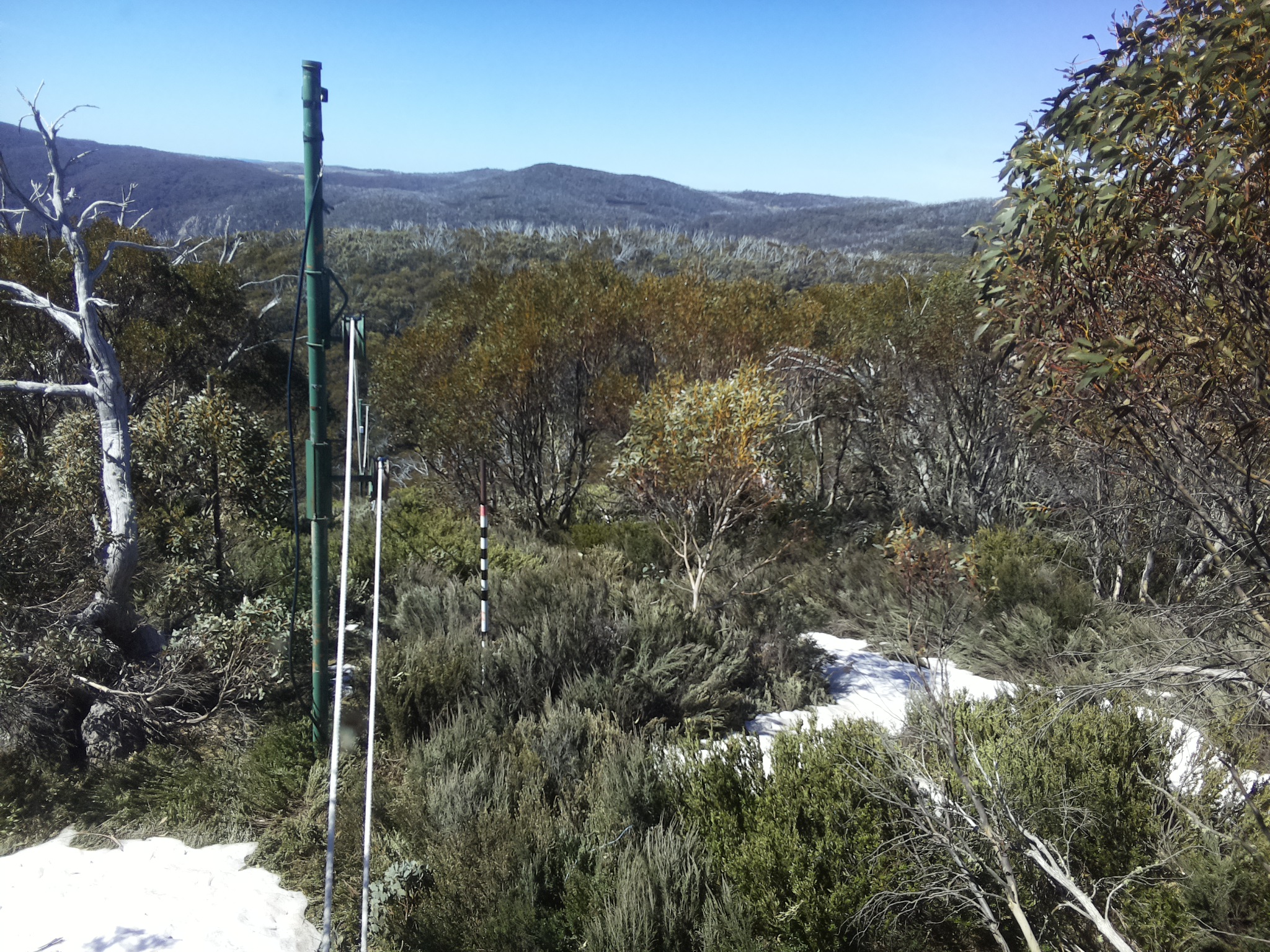 Bogong Web Cam 11:00am Thursday 16th of October 2025