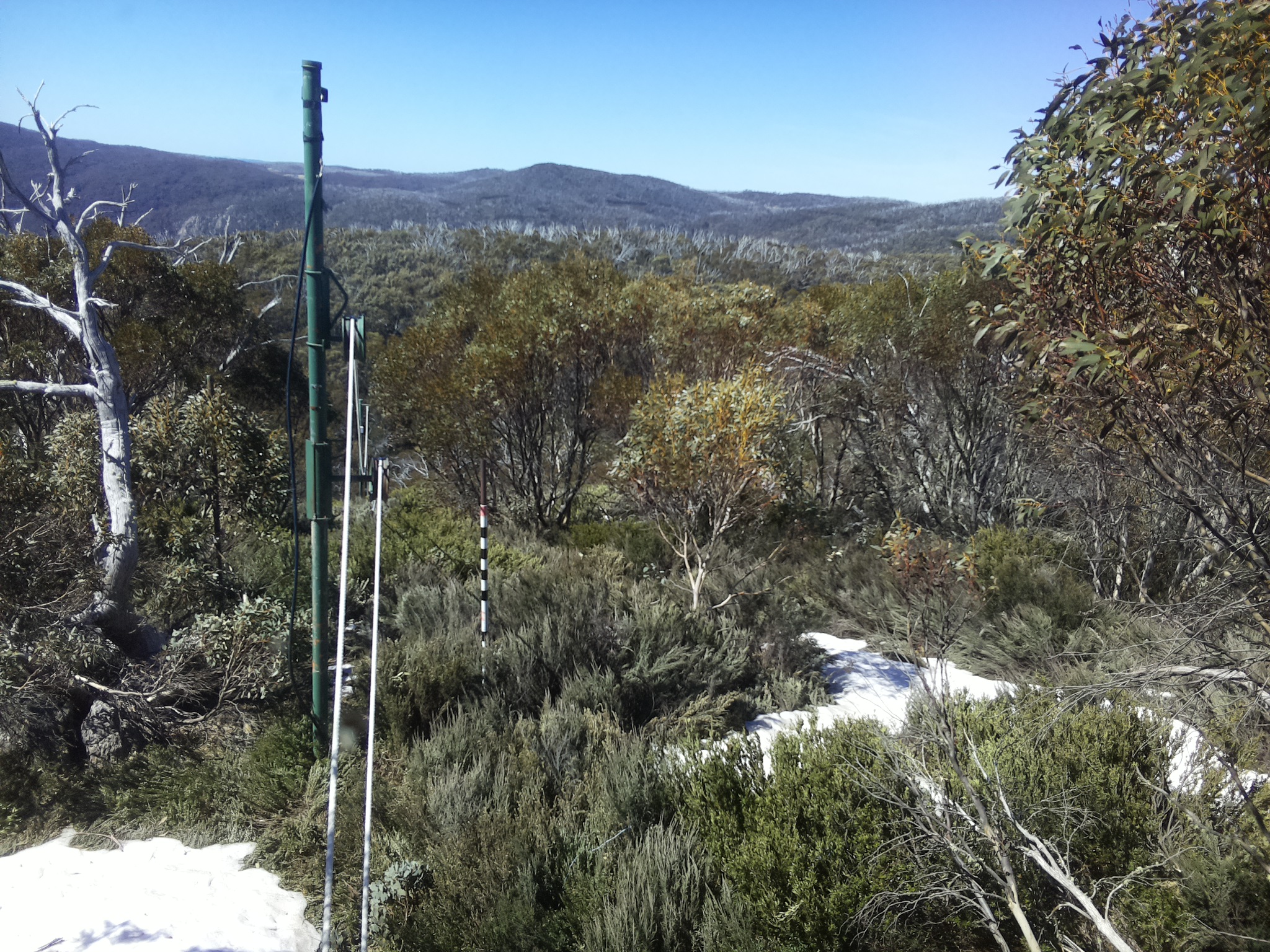 Bogong Web Cam 11:10am Thursday 16th of October 2025