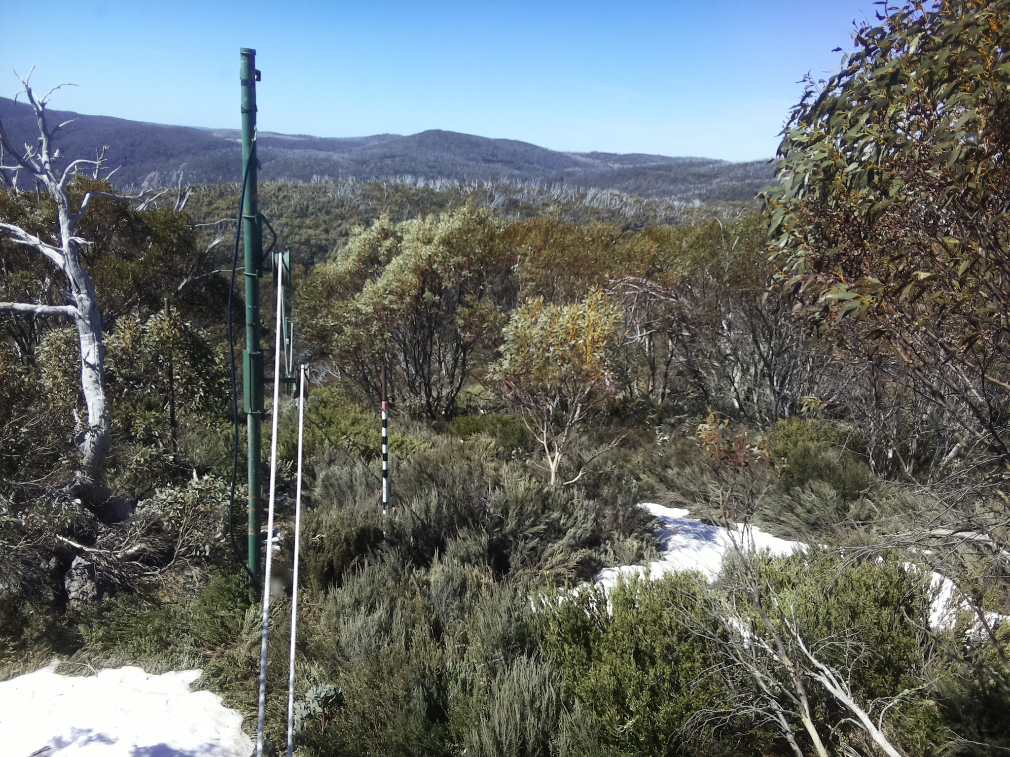 Bogong Web Cam 11:20am Thursday 16th of October 2025