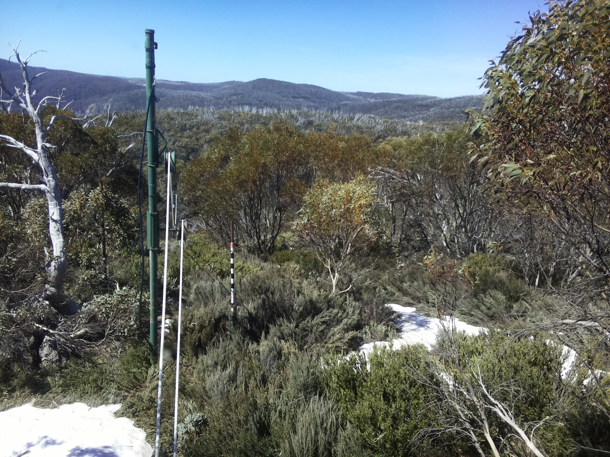 Bogong Web Cam 11:30am Thursday 16th of October 2025
