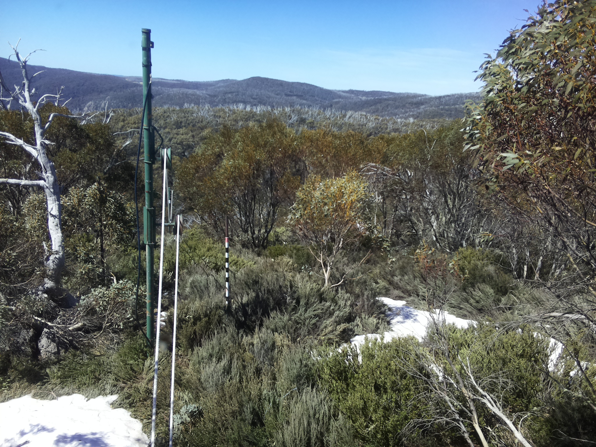 Bogong Web Cam 11:40am Thursday 16th of October 2025