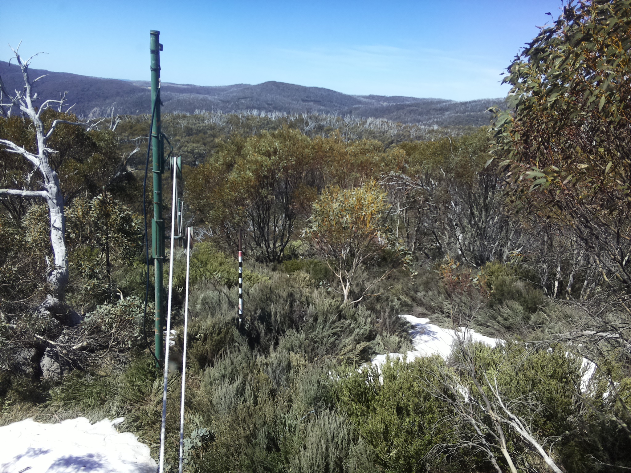 Bogong Web Cam 11:50am Thursday 16th of October 2025