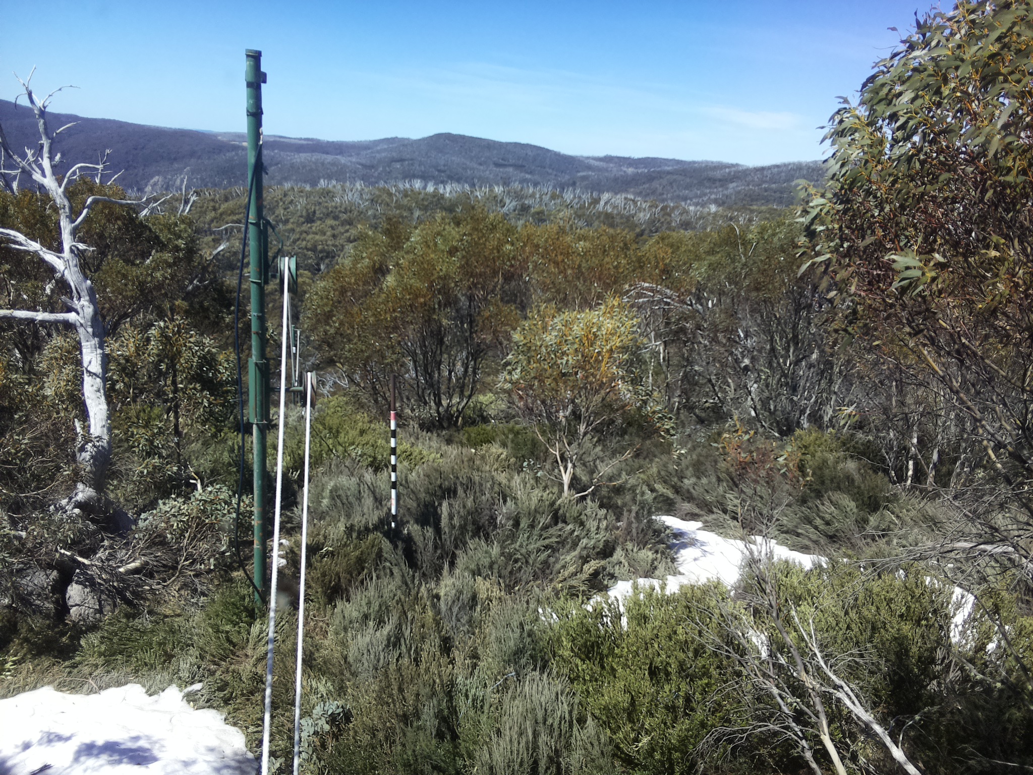 Bogong Web Cam 12:00pm Thursday 16th of October 2025