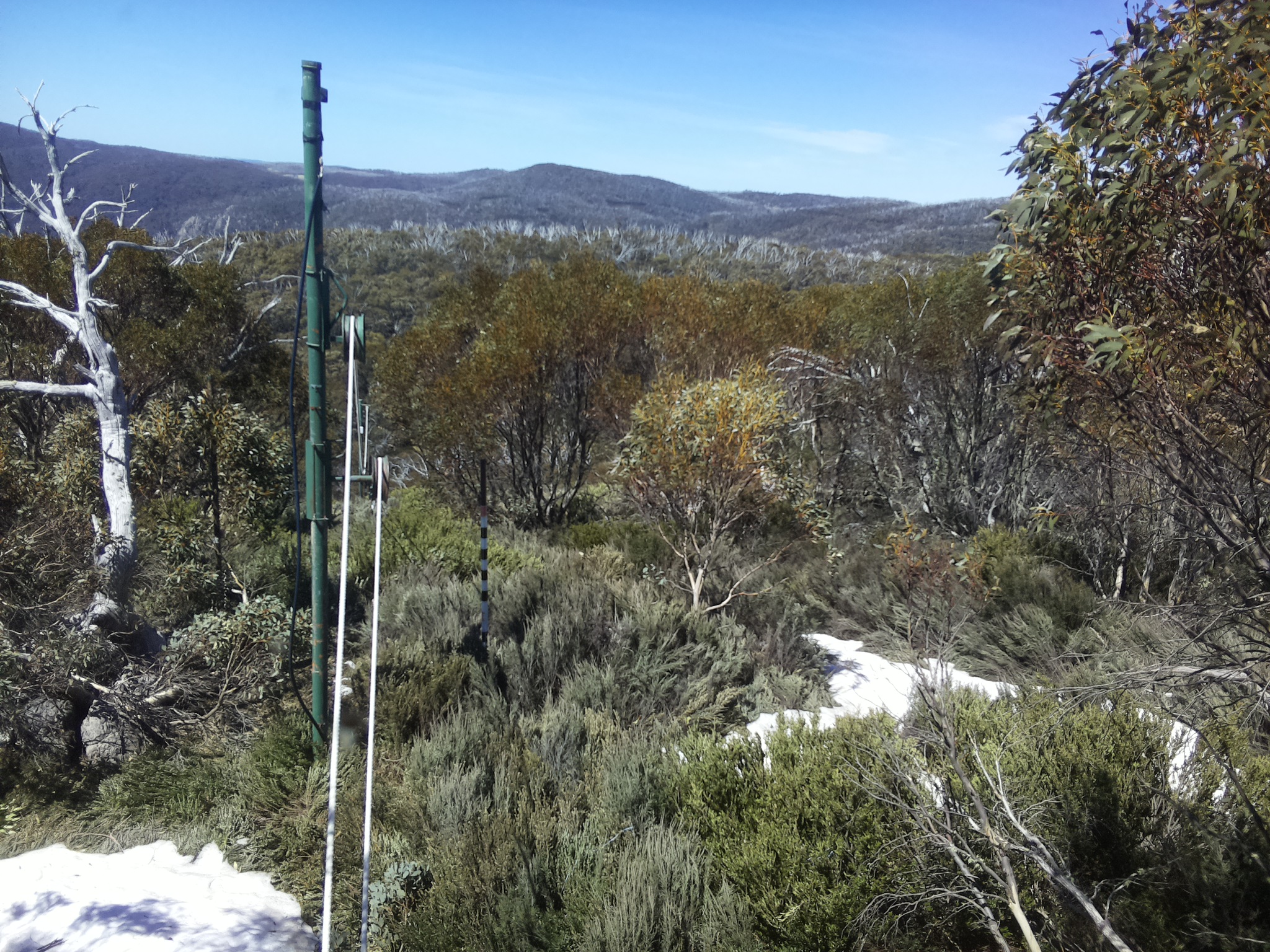 Bogong Web Cam 12:10pm Thursday 16th of October 2025