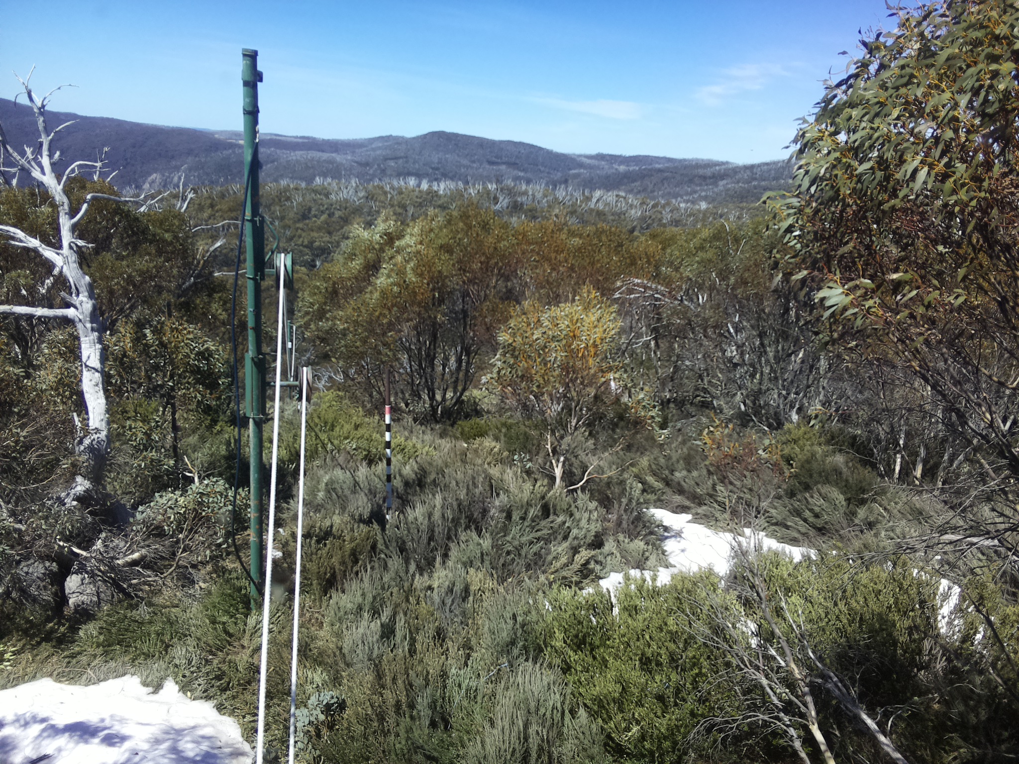 Bogong Web Cam 12:20pm Thursday 16th of October 2025